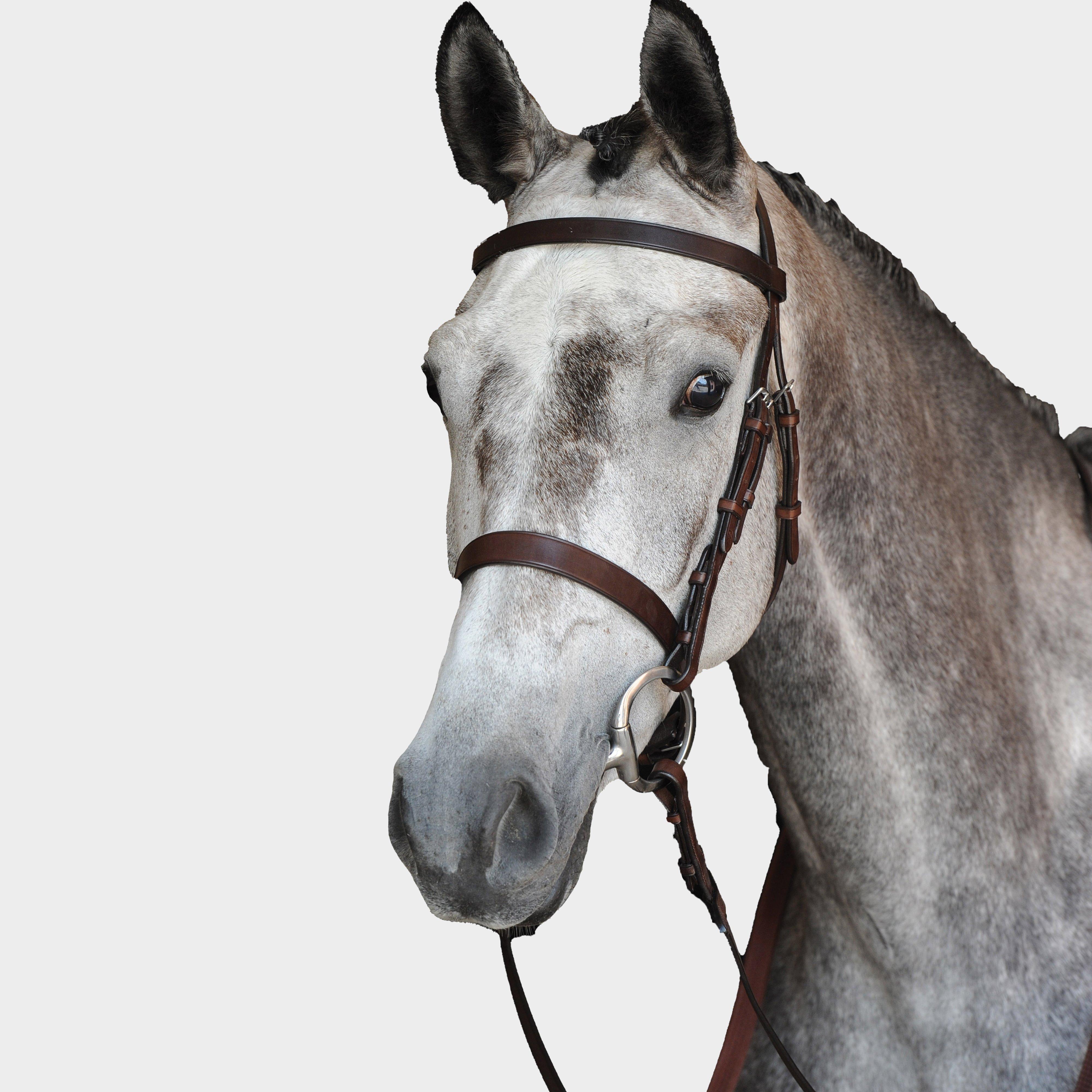 Hunt Cavesson Bridle IV Brown