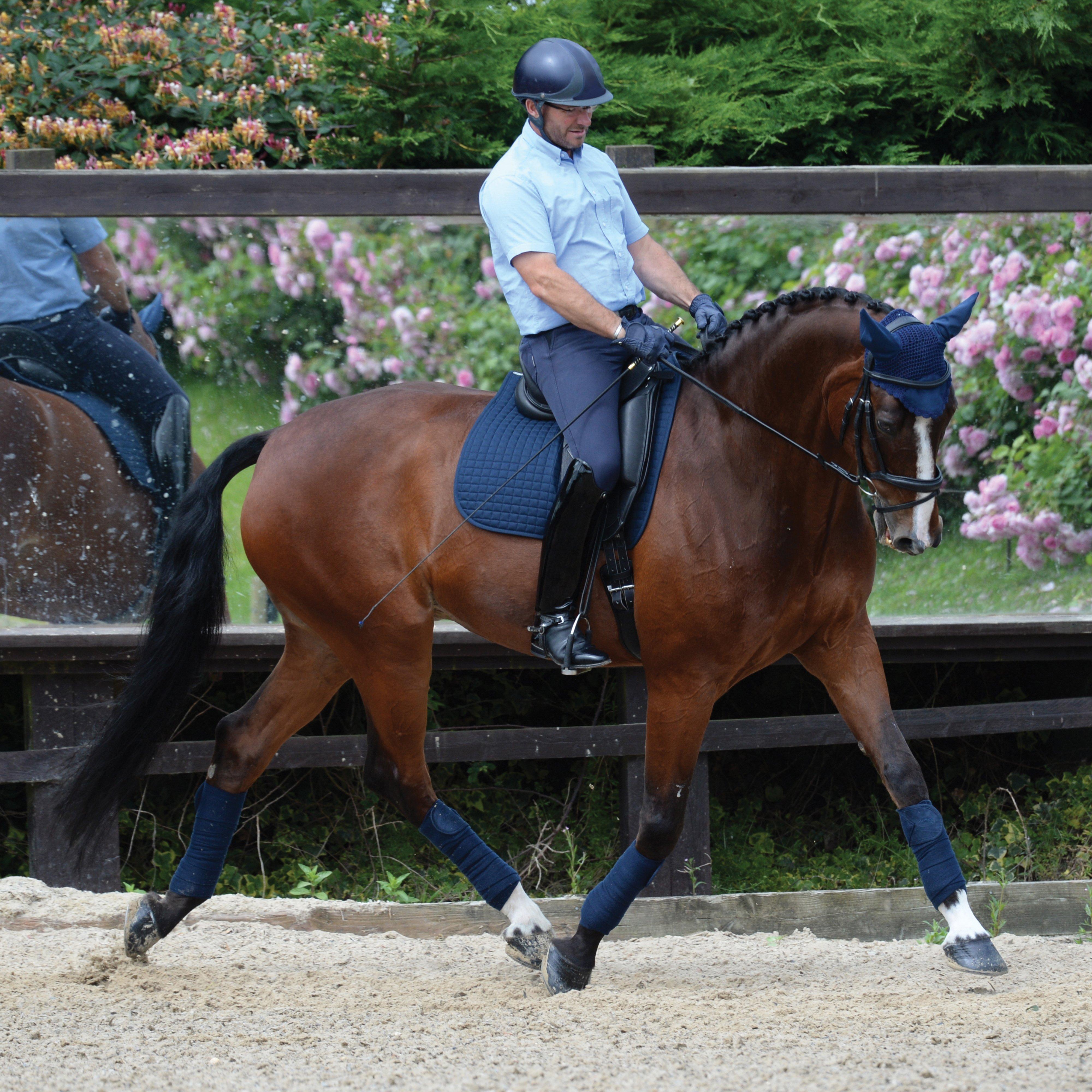 Prime Dressage Saddle Pad Navy