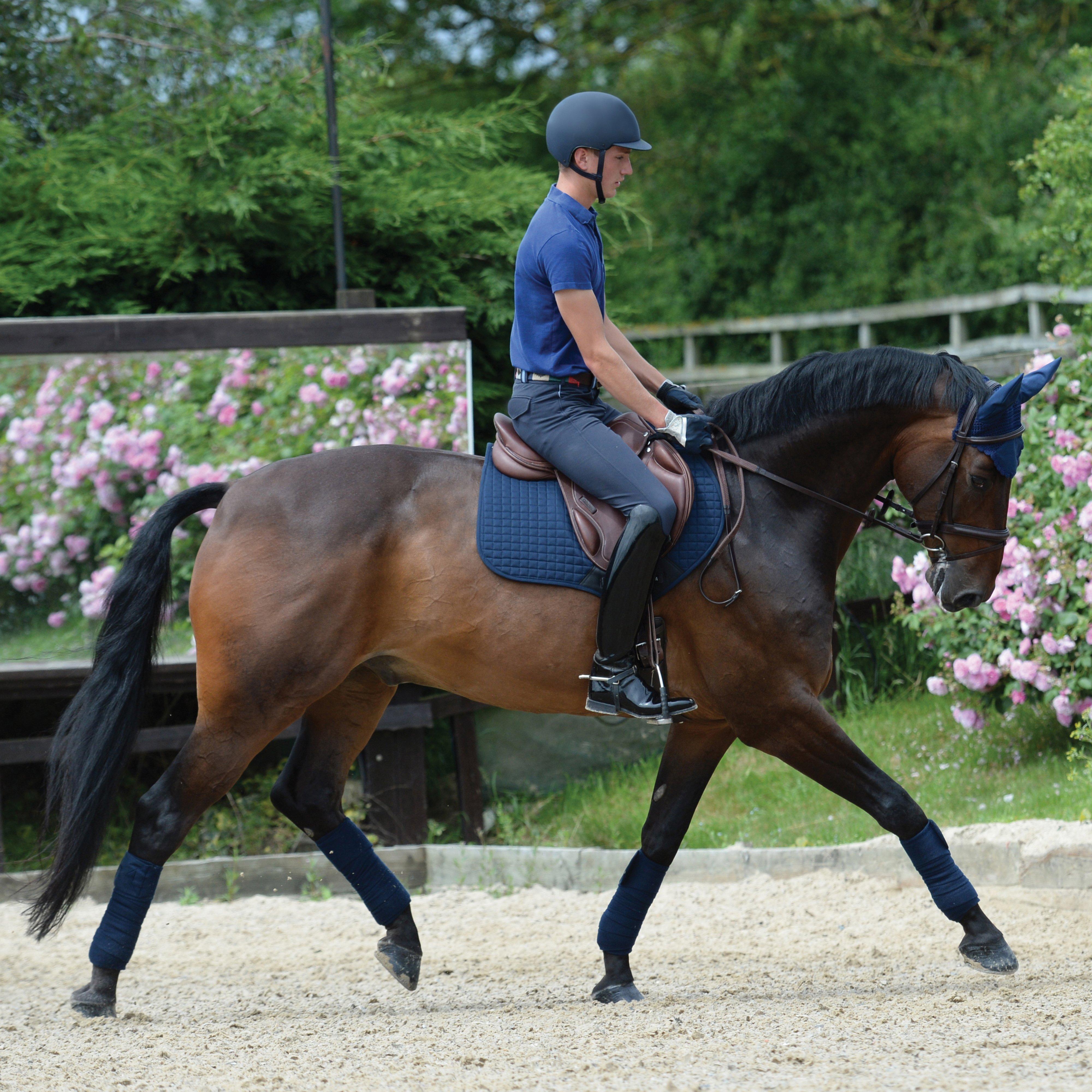 Prime Jump Saddle Pad Navy