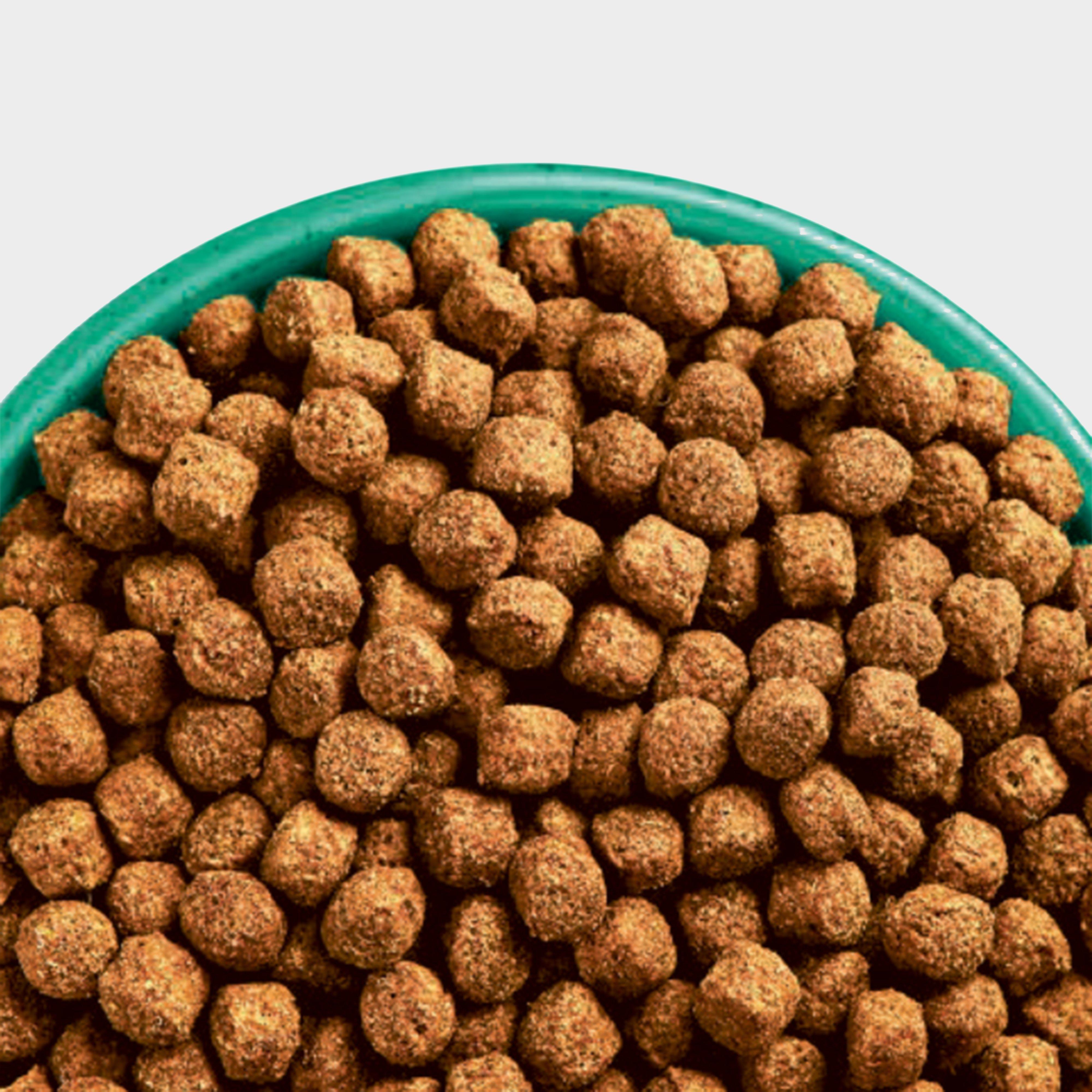 Junior Turkey & Rice Dog Food 2KG