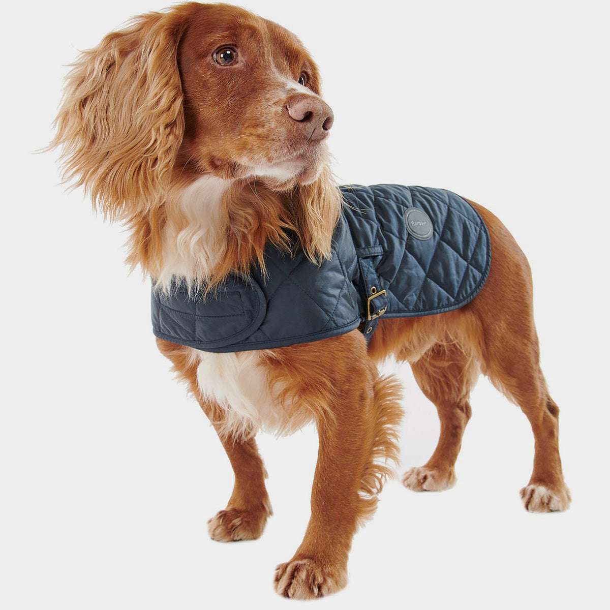Quilted Dog Coat Navy