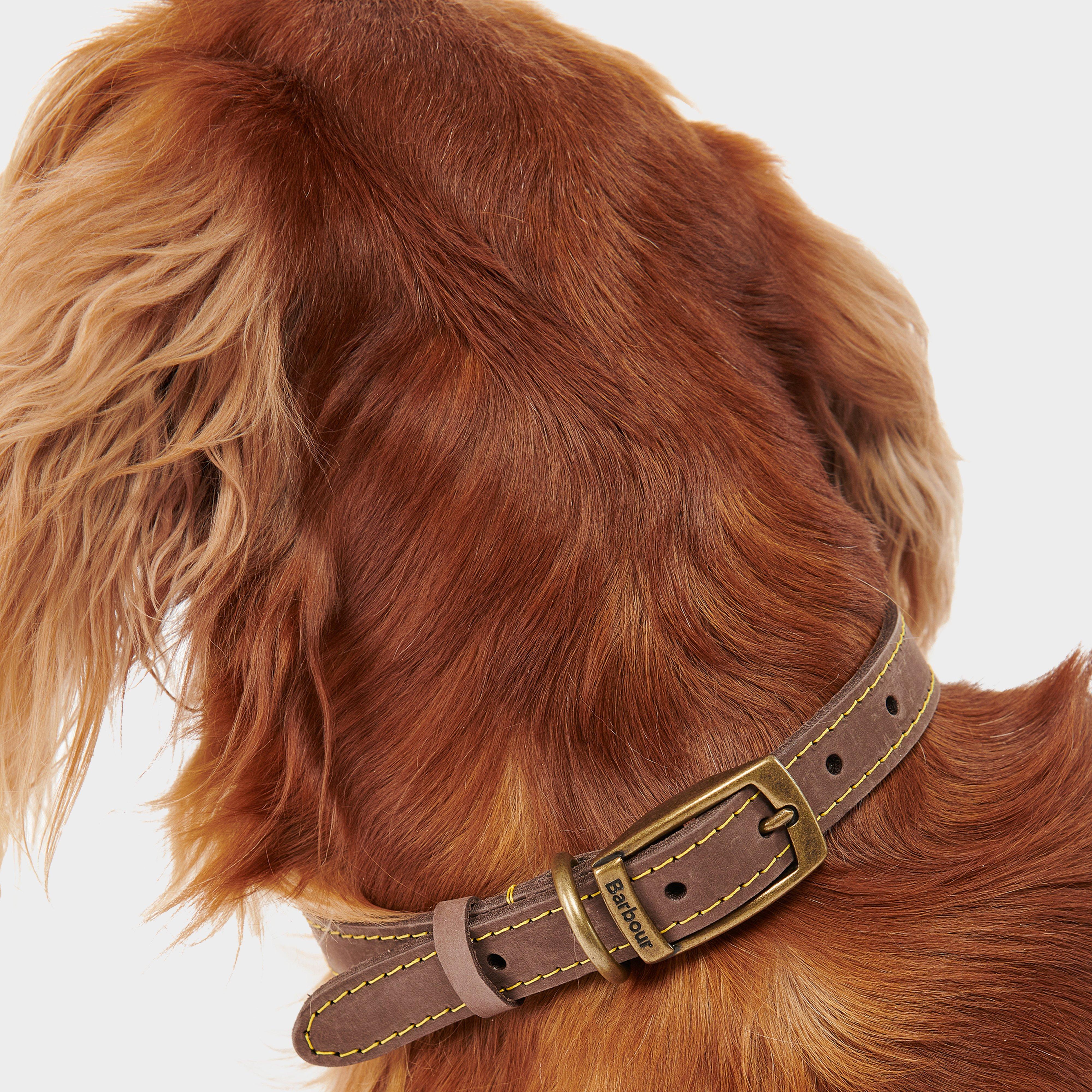 Leather Dog Collar Classic Brown