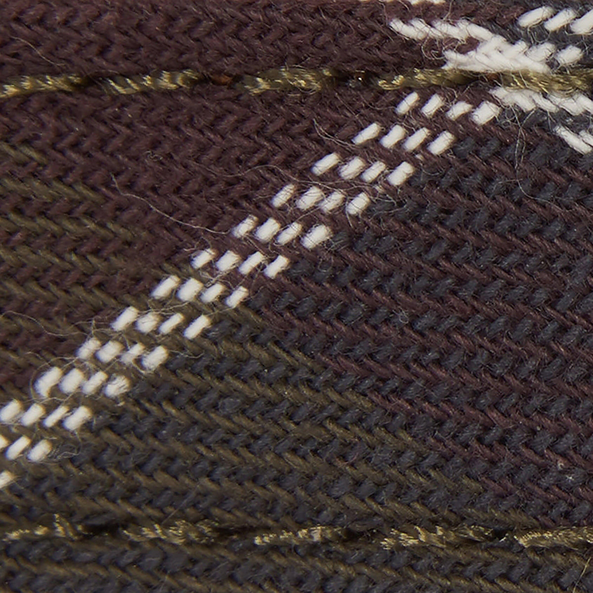 Tartan/Webbing Collar Classic