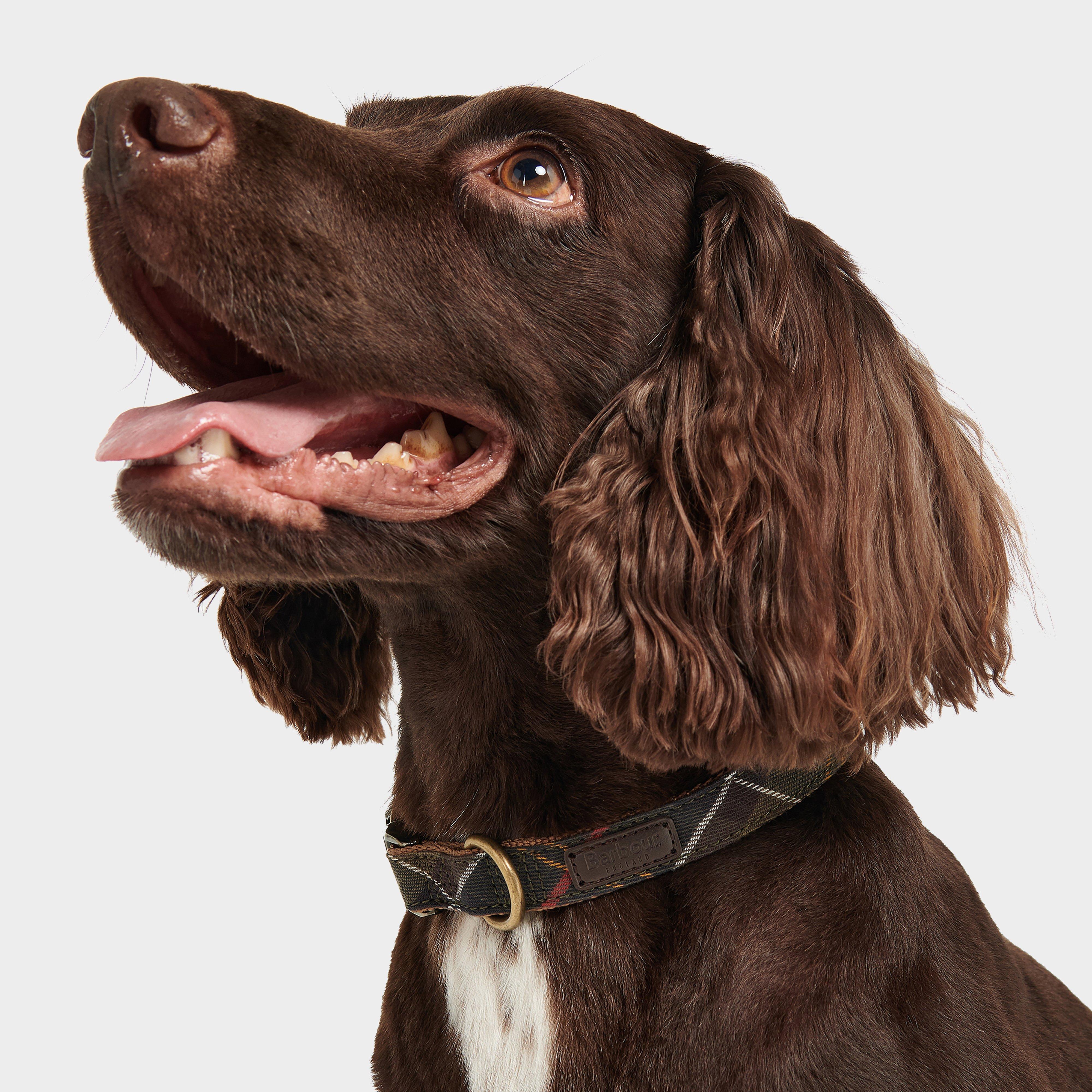 Tartan/Webbing Collar Classic