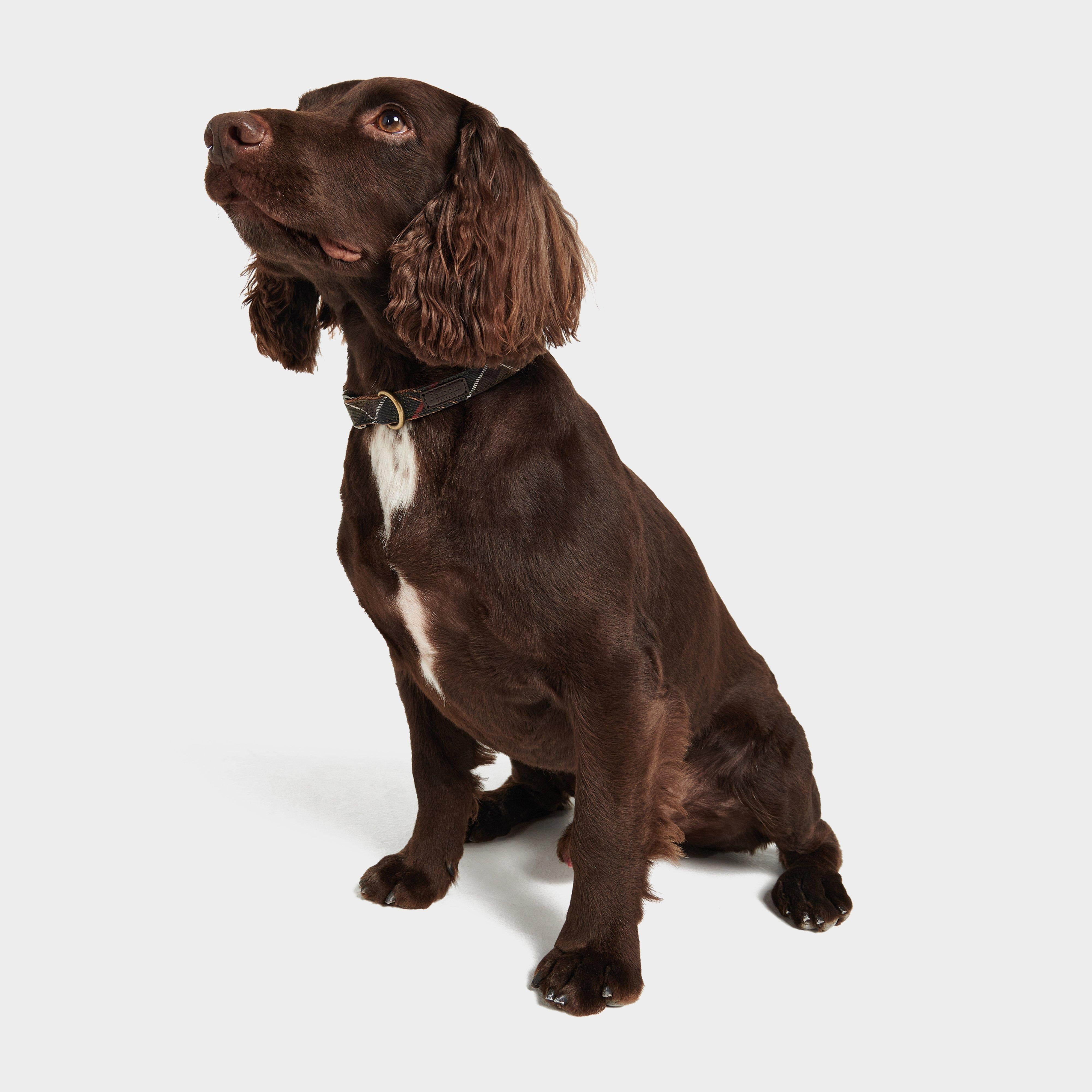 Tartan/Webbing Collar Classic