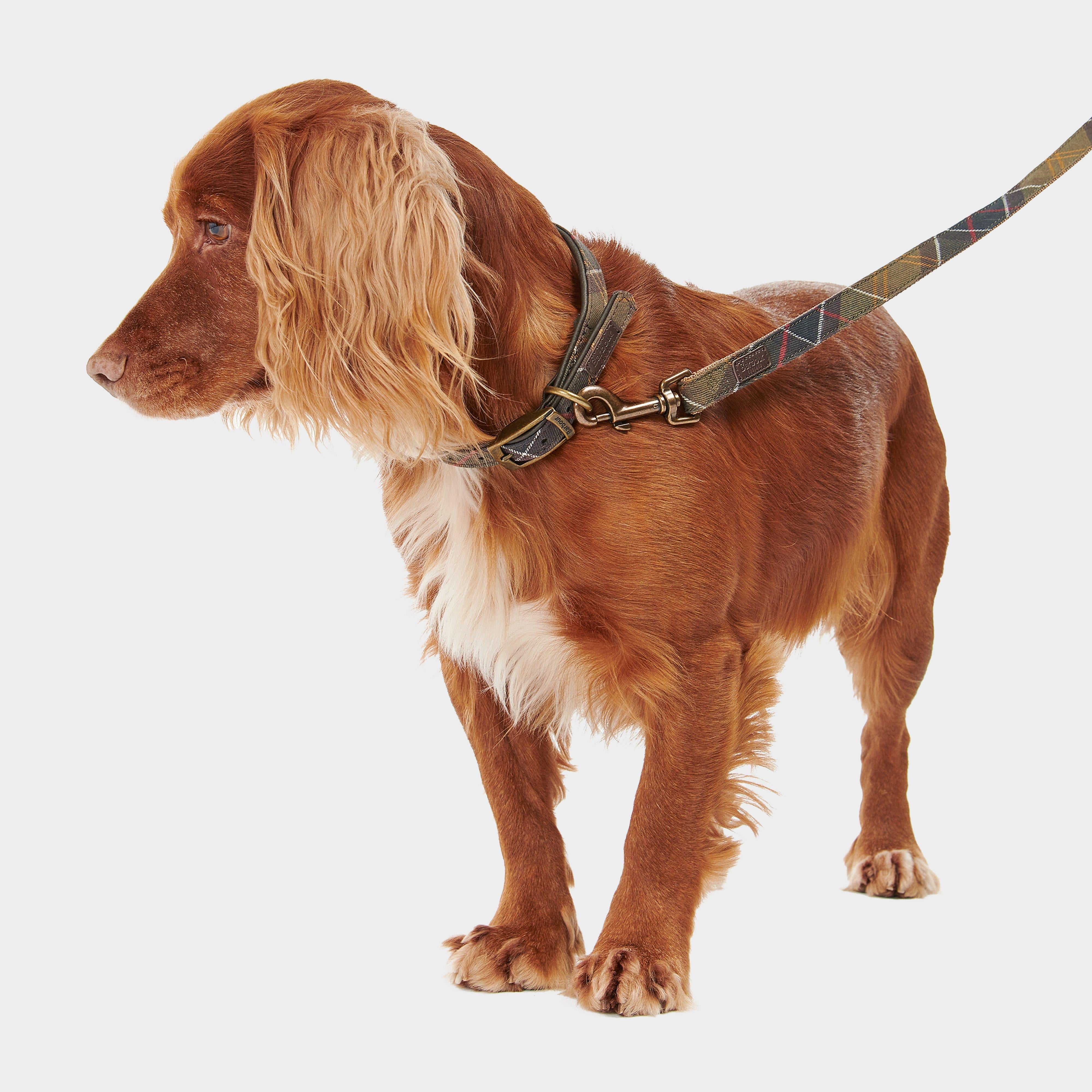 Tartan/Webbing Lead Classic