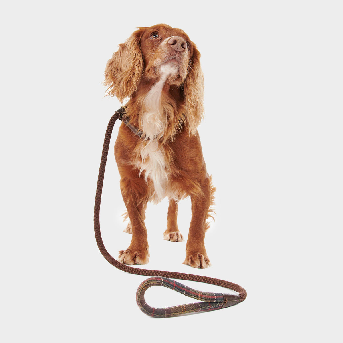 Tartan Trimmed Slip Lead Classic