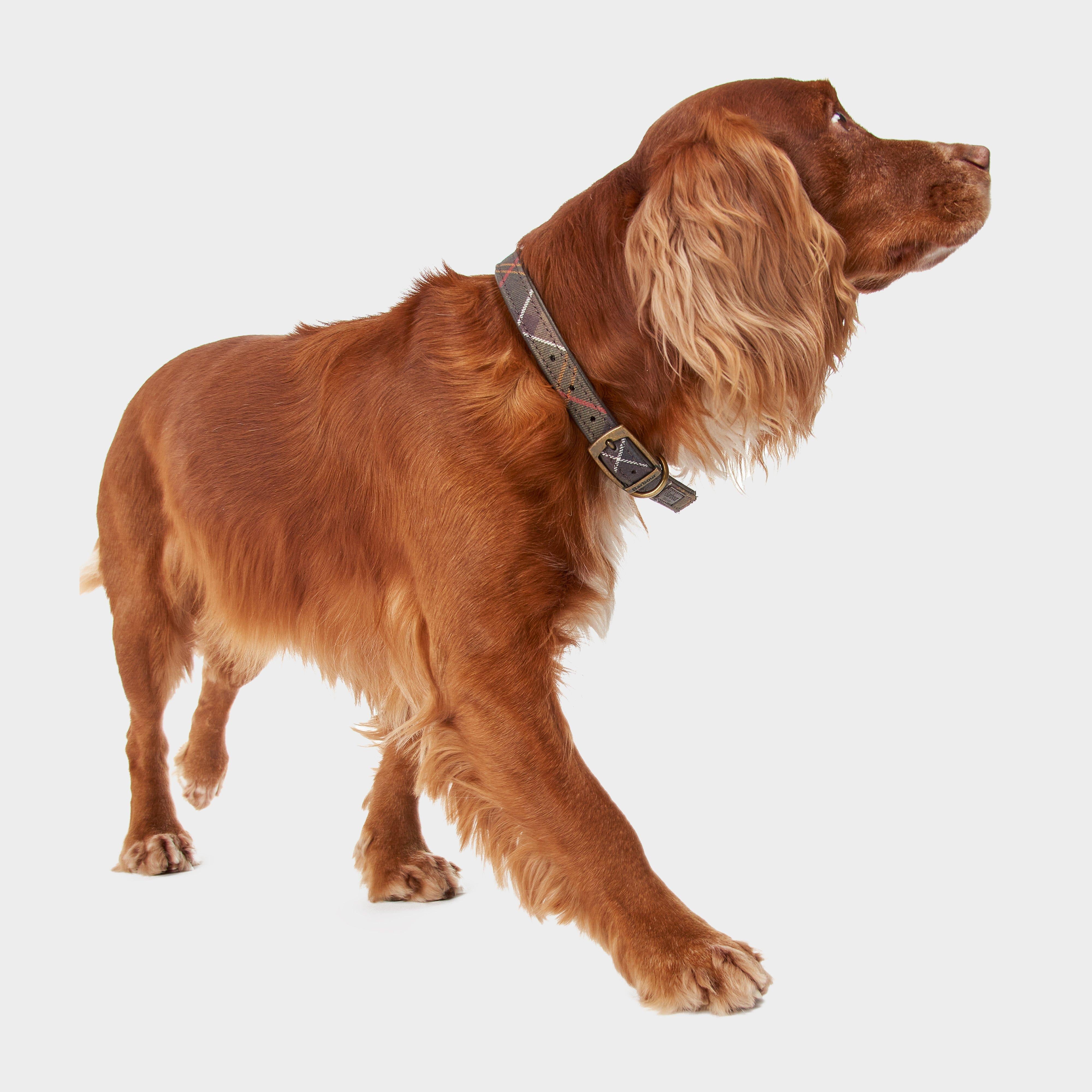 Tartan Dog Collar Classic Tartan