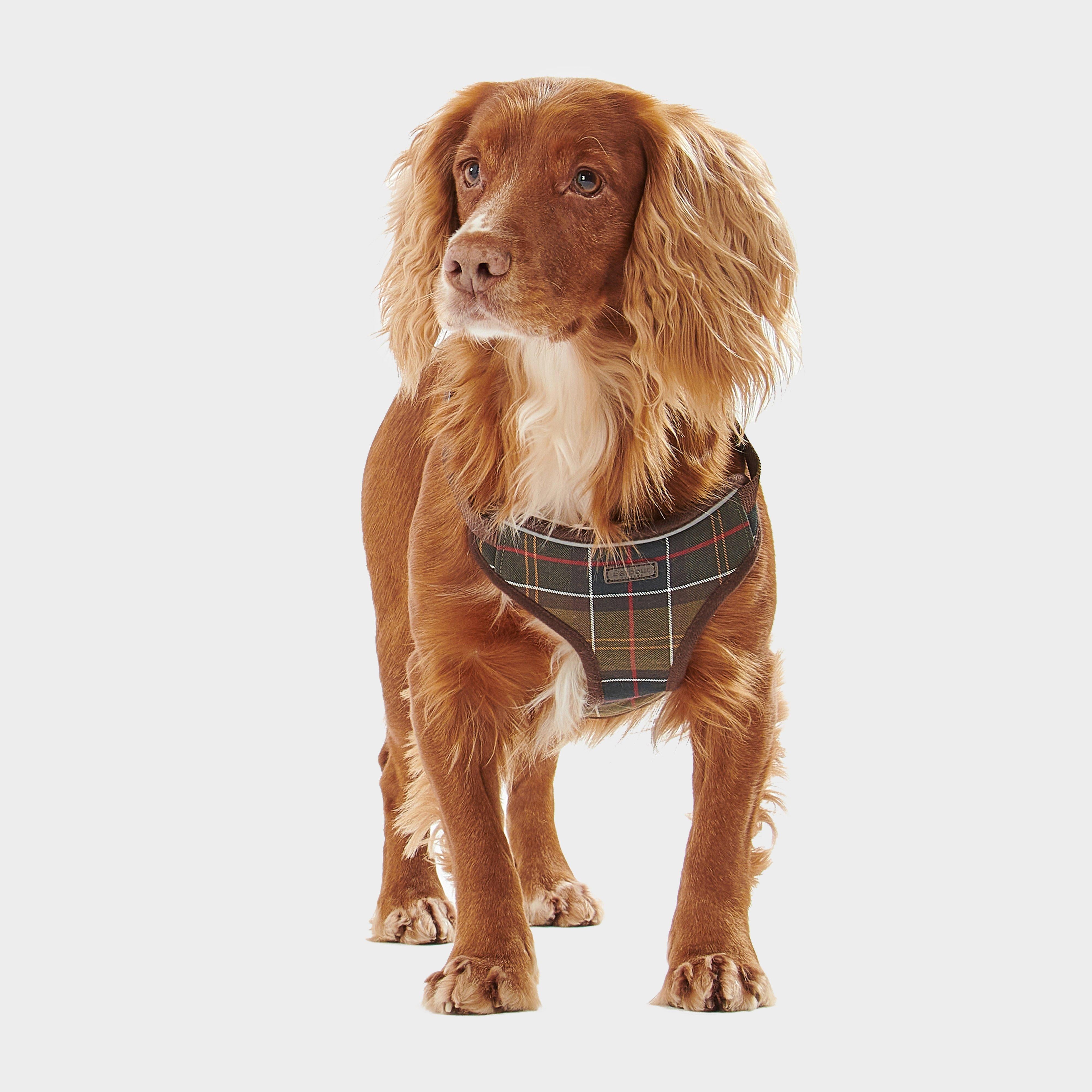 Travel & Exercise Harness Classic