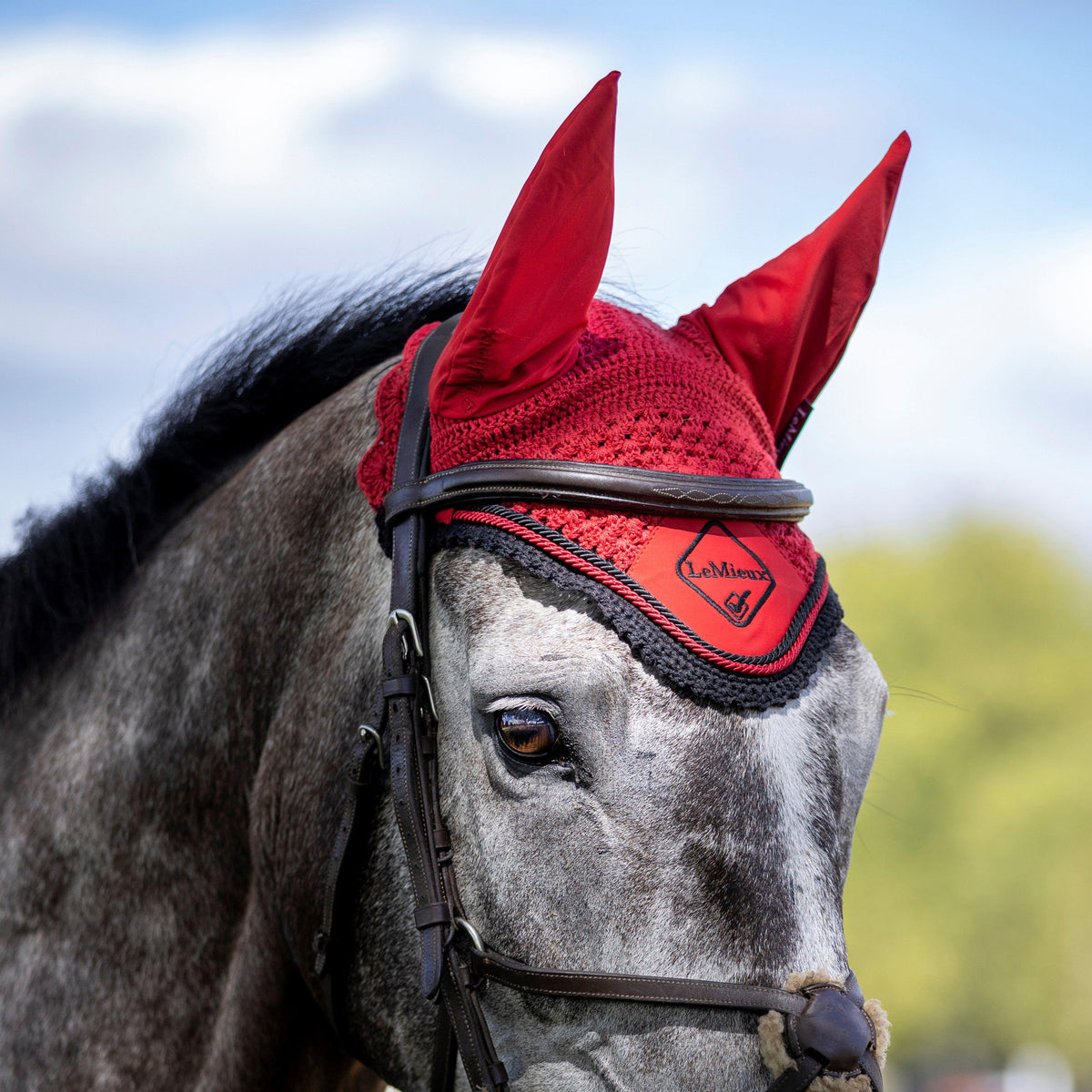 Classic Fly Hood Chilli