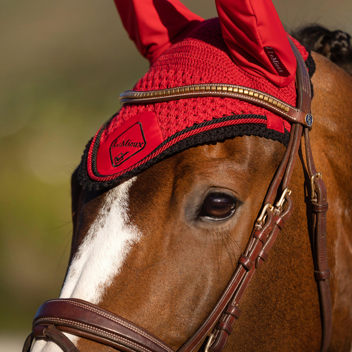 Classic Fly Hood Chilli