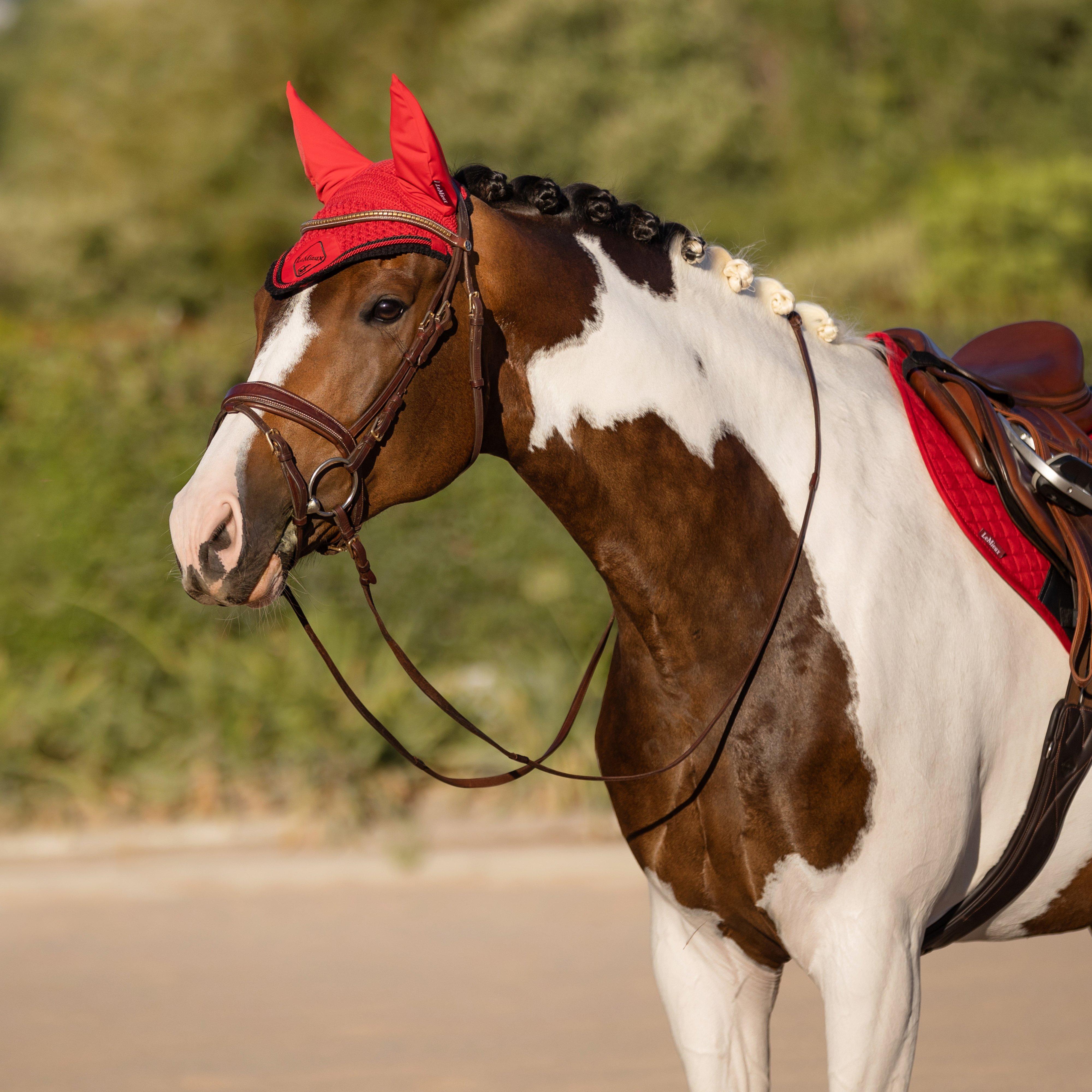 Classic Fly Hood Chilli