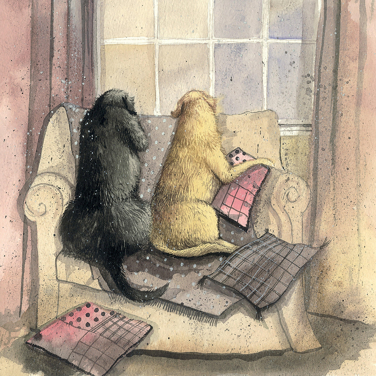 Blank Card Looking Out Dog