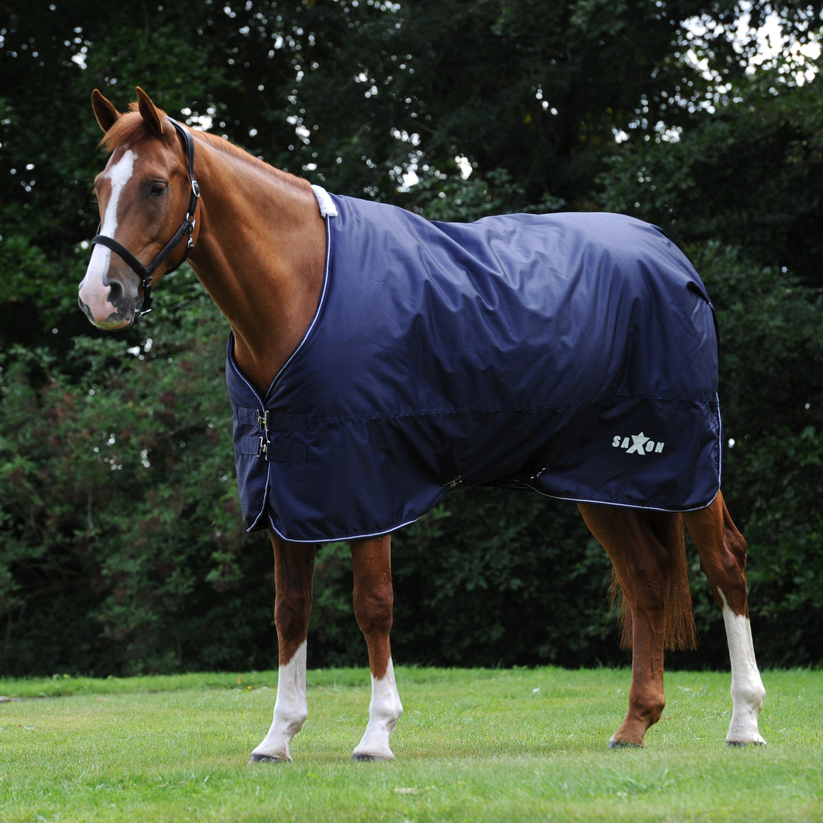 Defiant 600D 200g Medium Weight Standard Neck Turnout Rug Navy