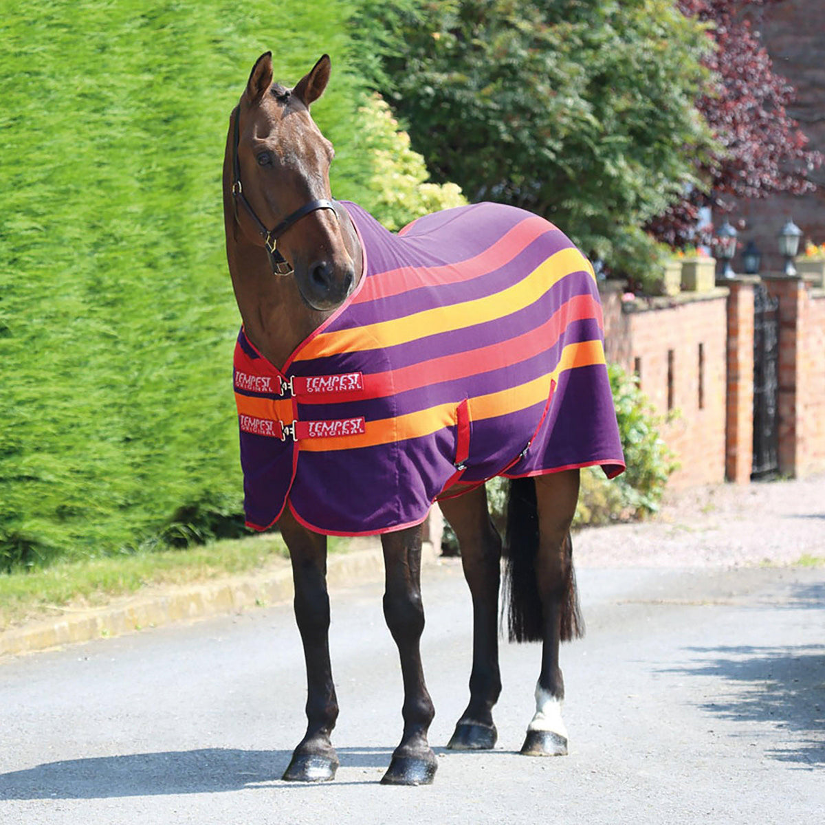 Tempest Original Newmarket Fleece Rug Purple Stripe