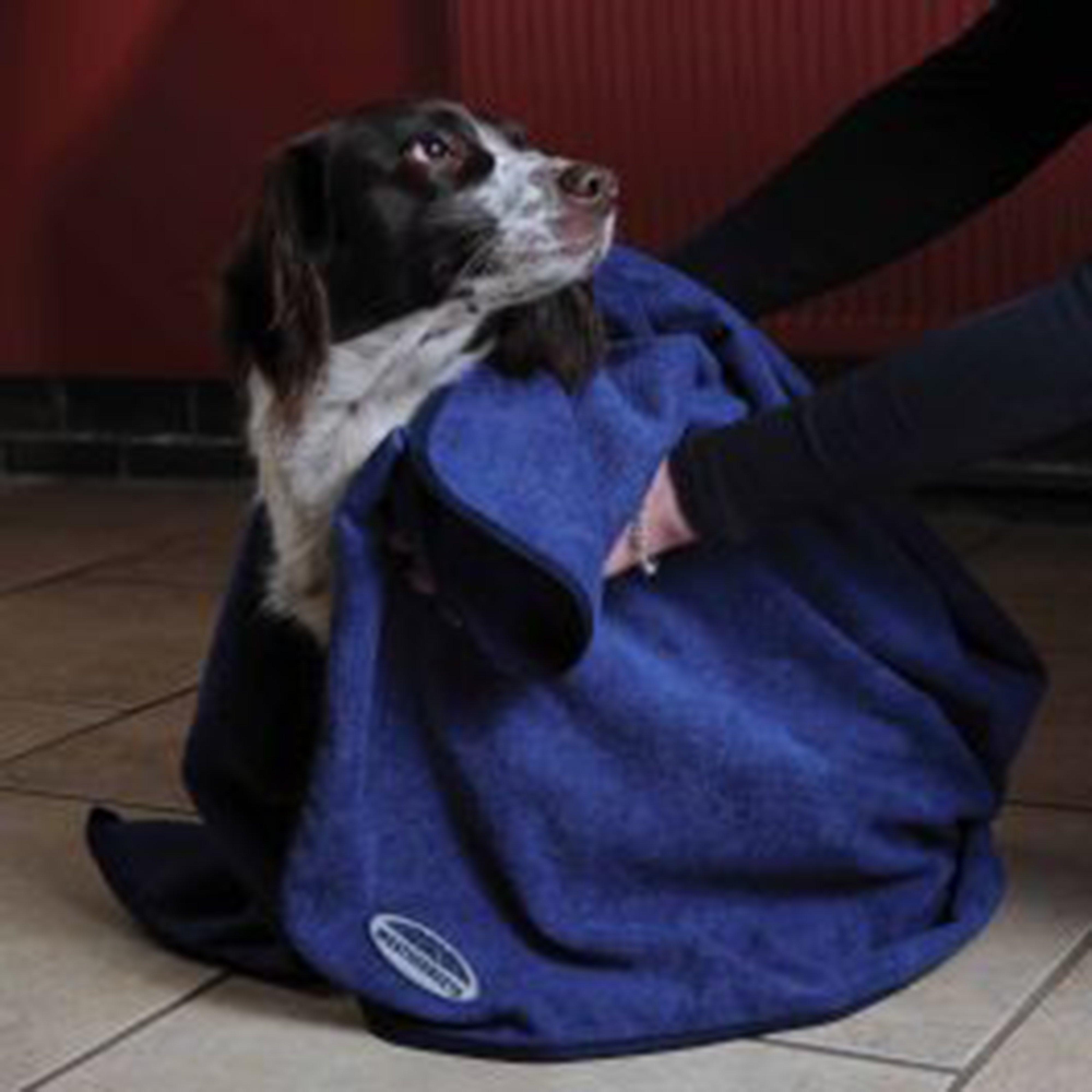 Dog Towel Blue
