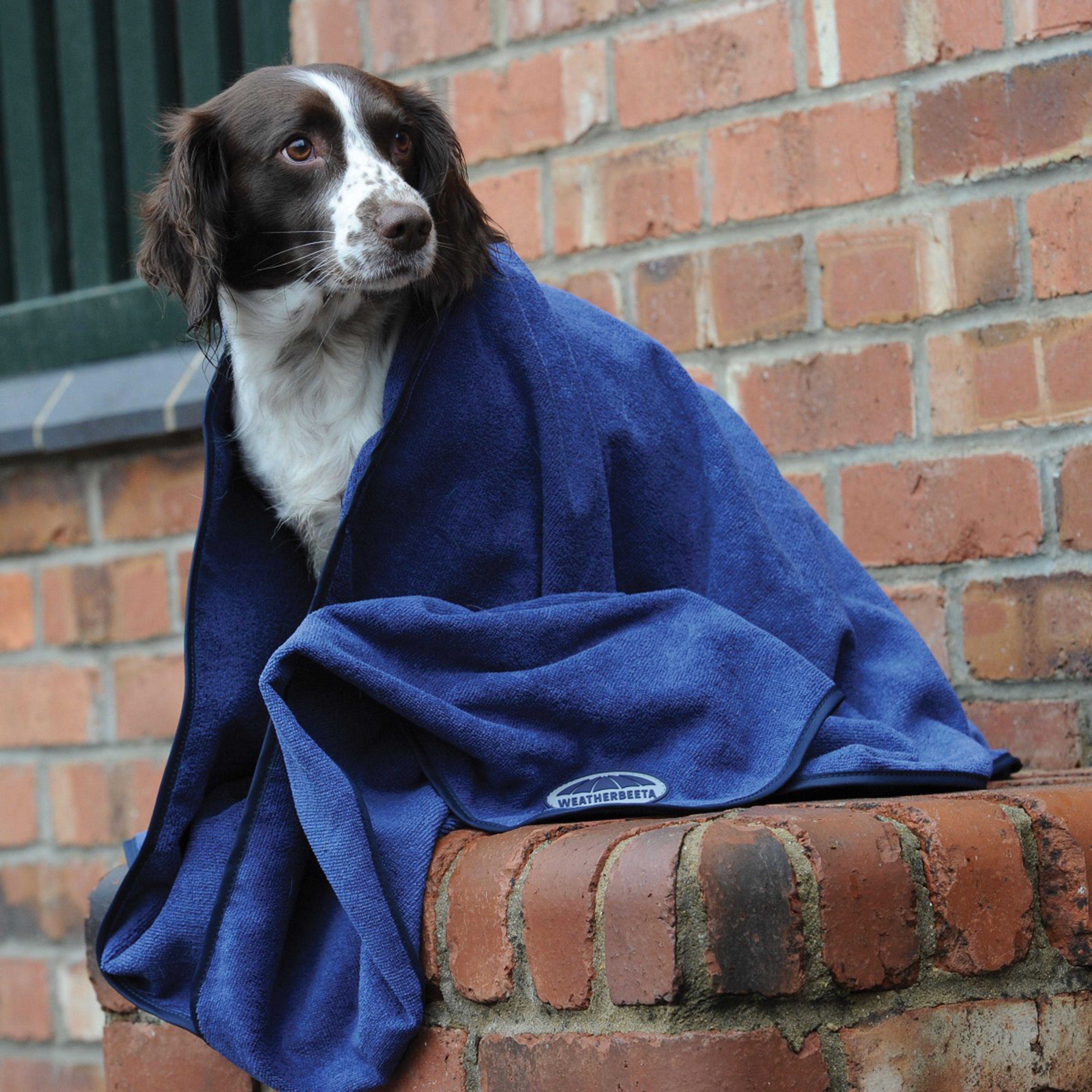 Dog Towel Blue