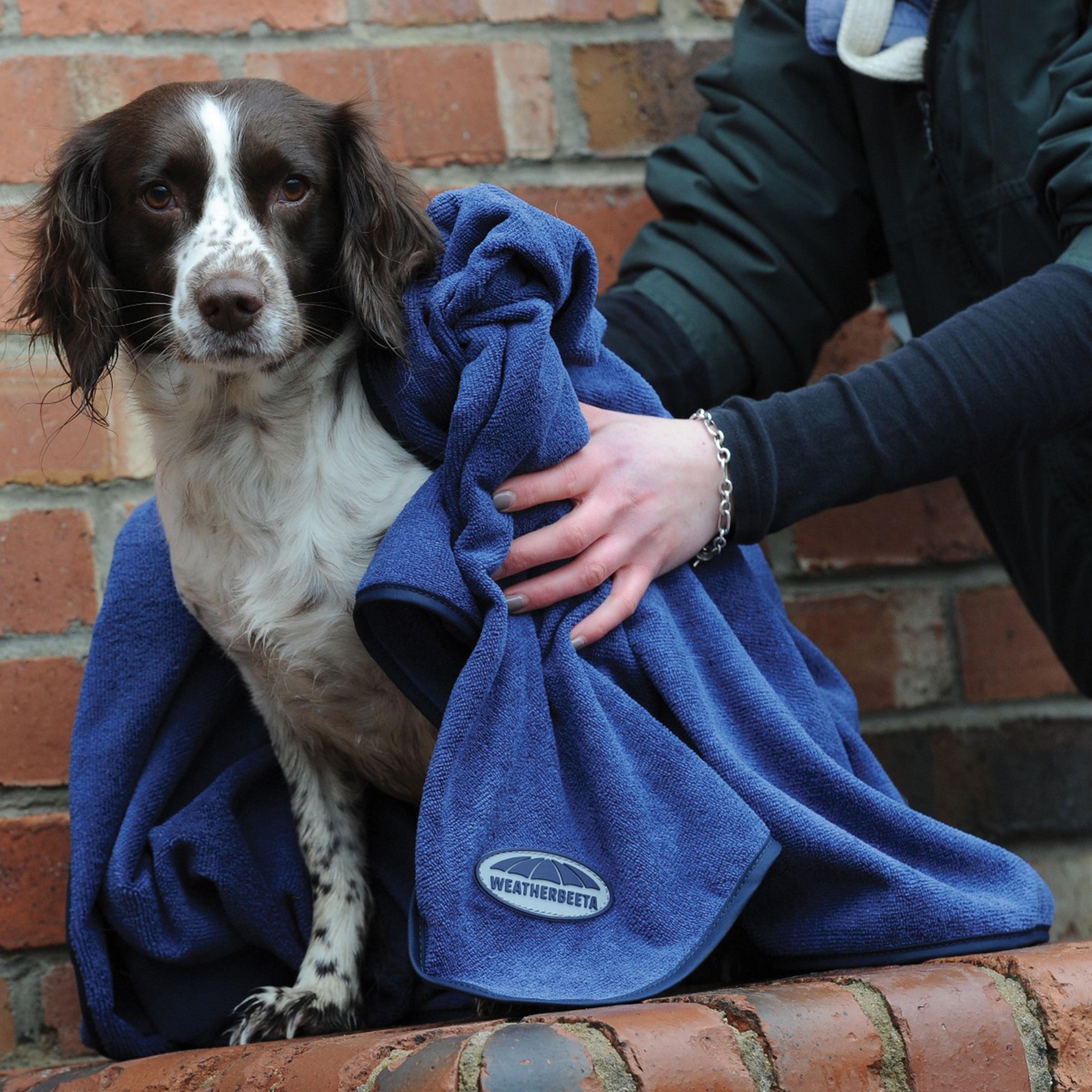 Dog Towel Blue