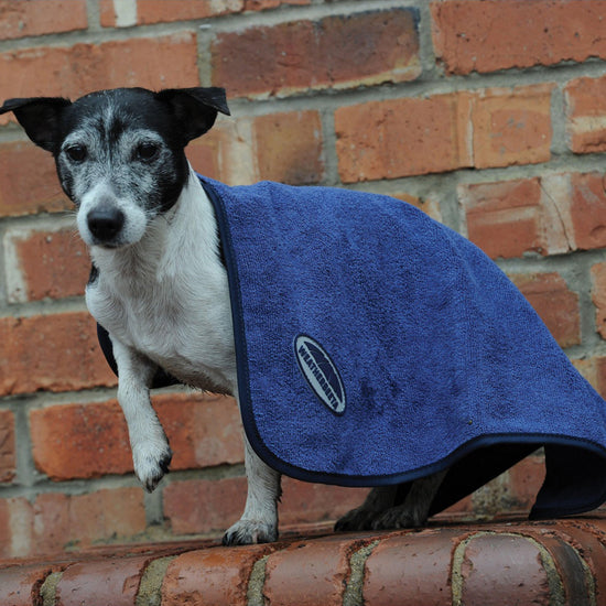 Dog Towel Blue