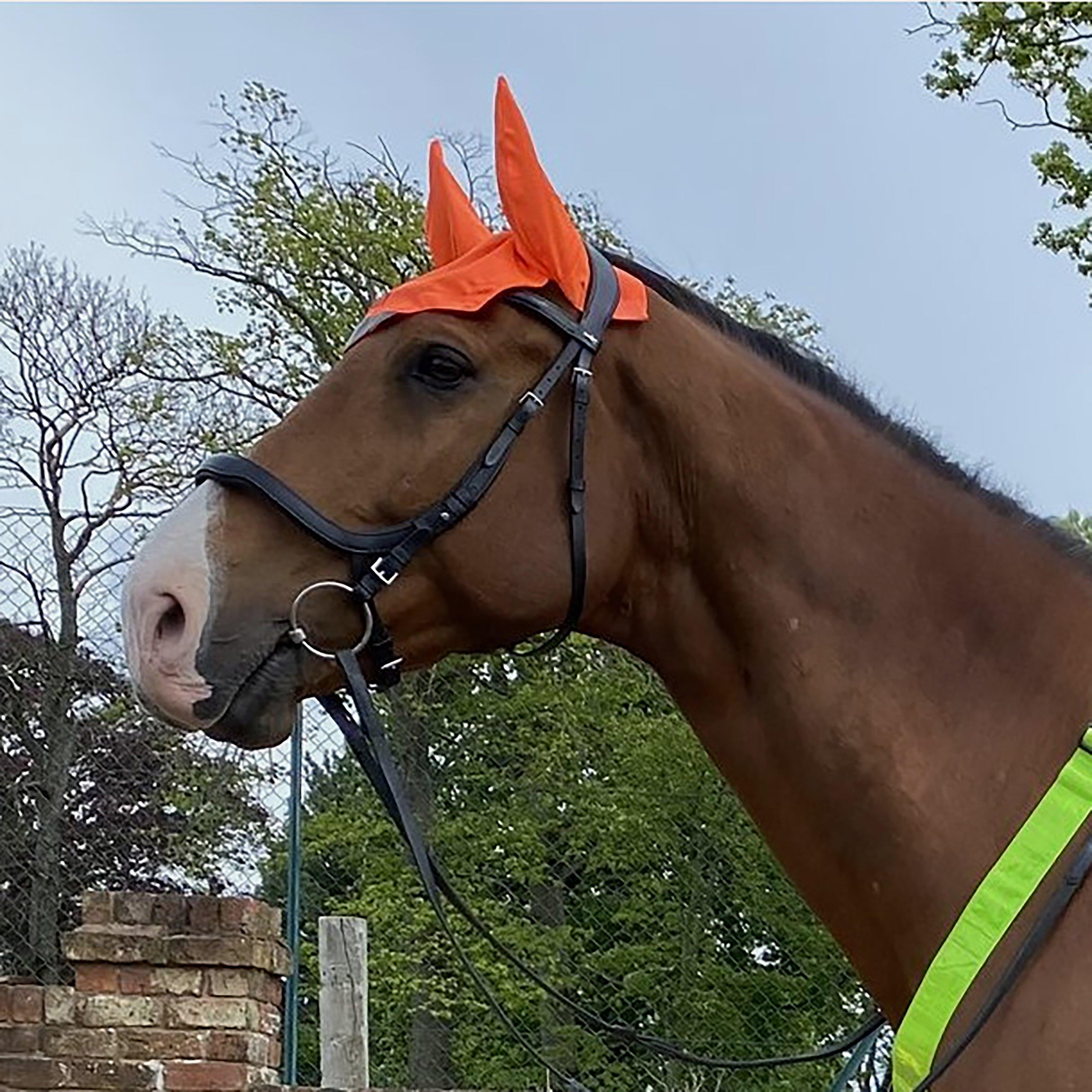 Charlotte Dujardin Reflective Multi-Coloured Mesh Horse Ears Yellow/Orange