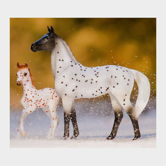 Classic Spotted Wonders