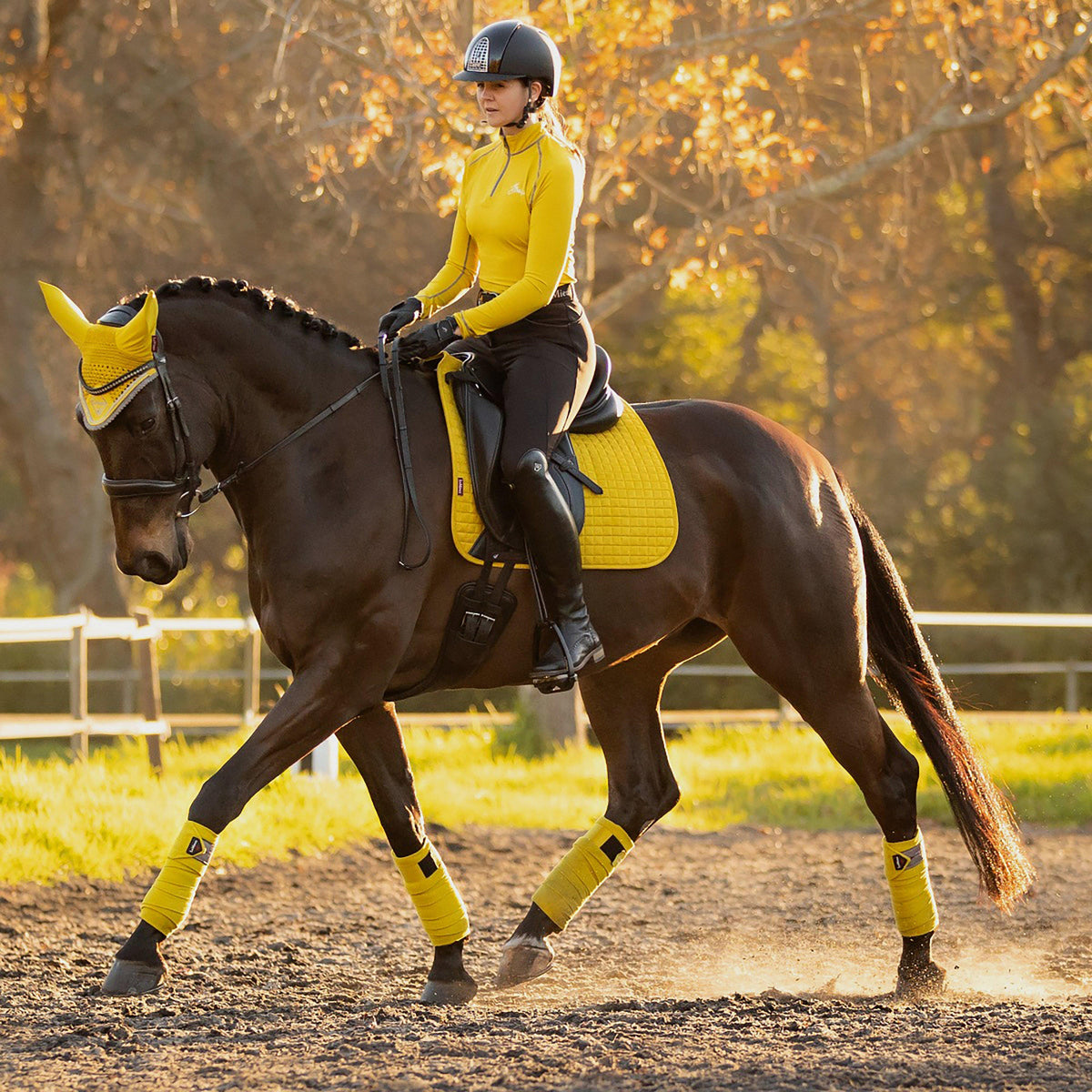 Suede Dressage Saddle Pad Dijon