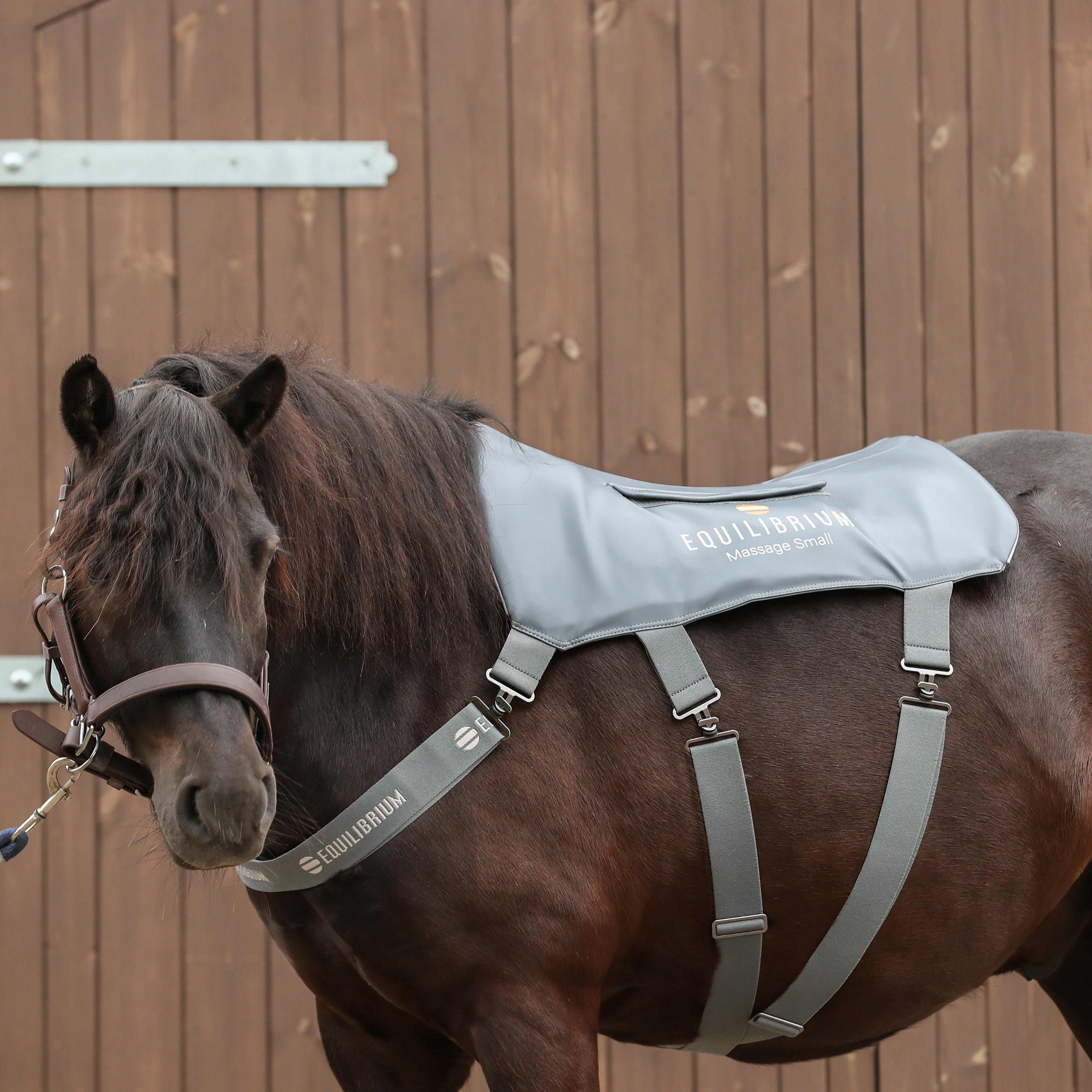 Pony Massage Pad