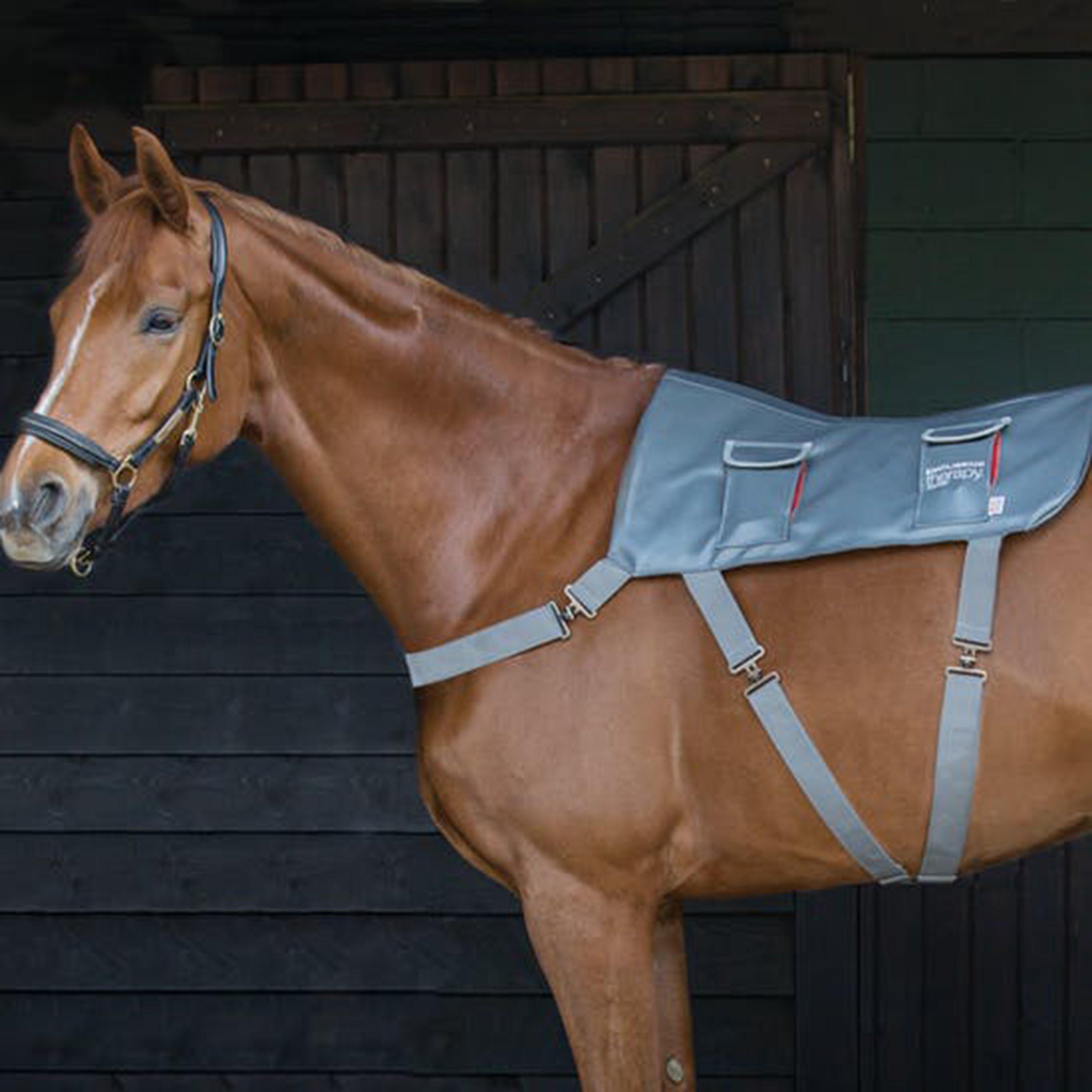 Pony Massage Pad