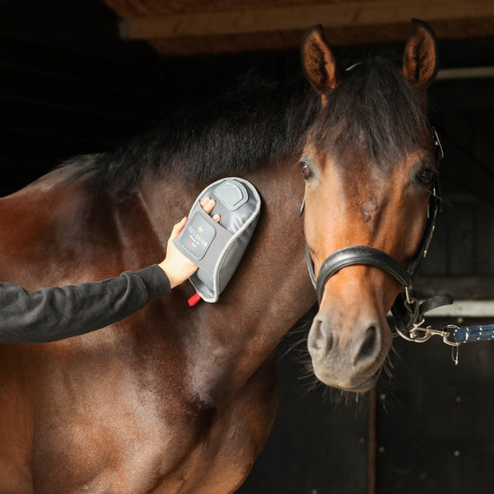 Massage Mitt Hotspot