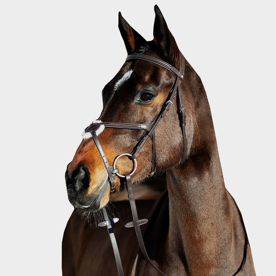 Prescott Mexican Bridle Brown