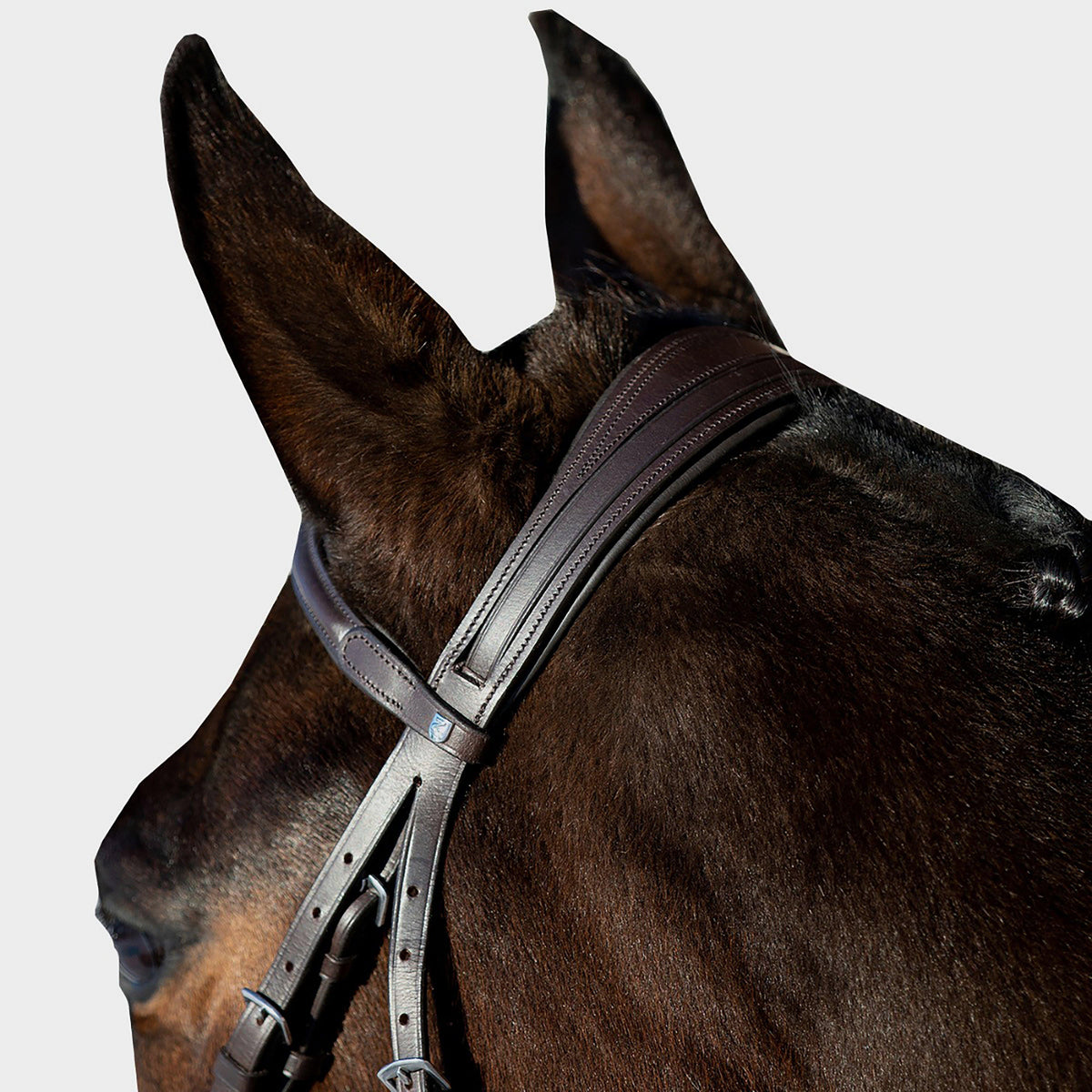 Prescott Mexican Bridle Brown