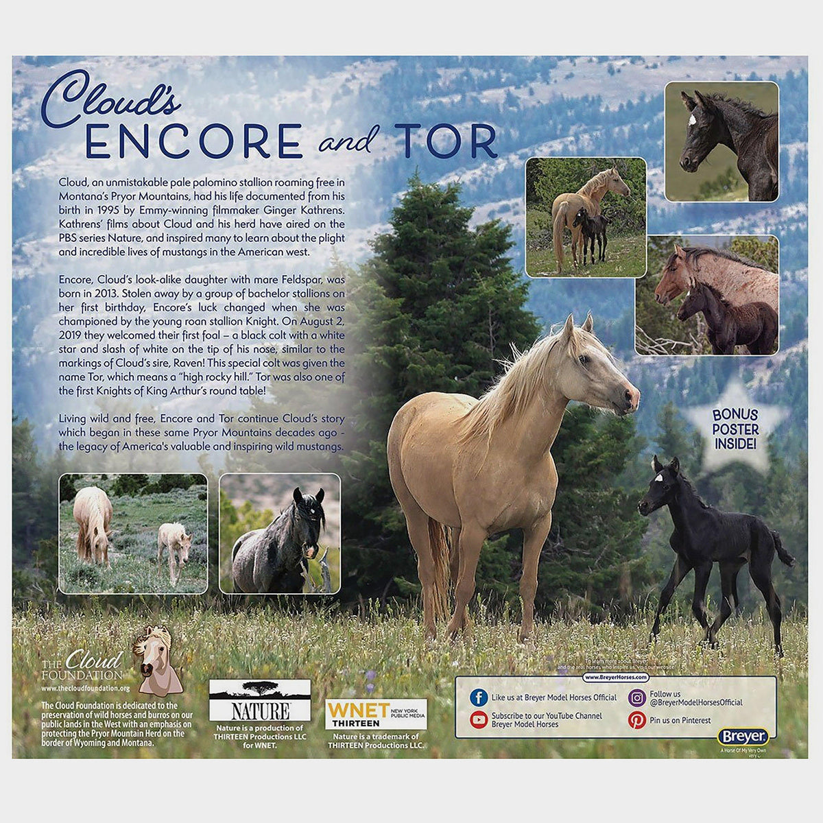 Traditional Encore & Tor