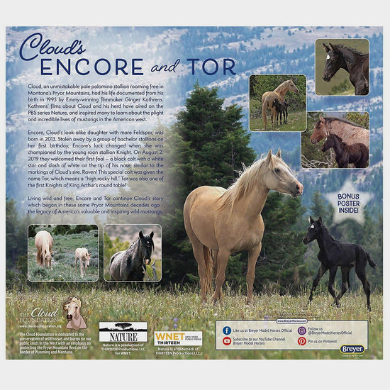 Traditional Encore & Tor