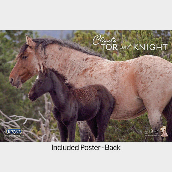 Traditional Encore & Tor