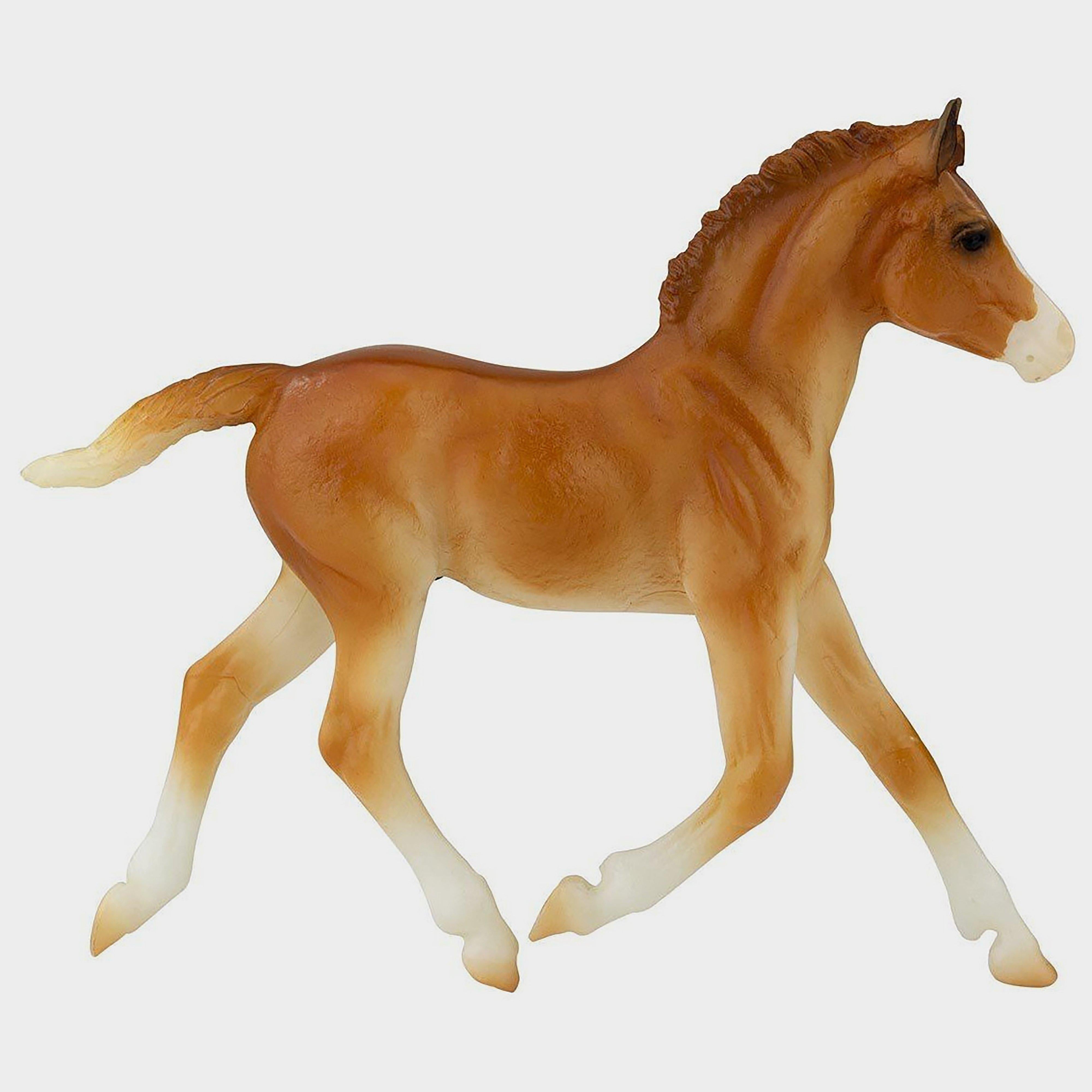 Freedom Spanish Mustang Family