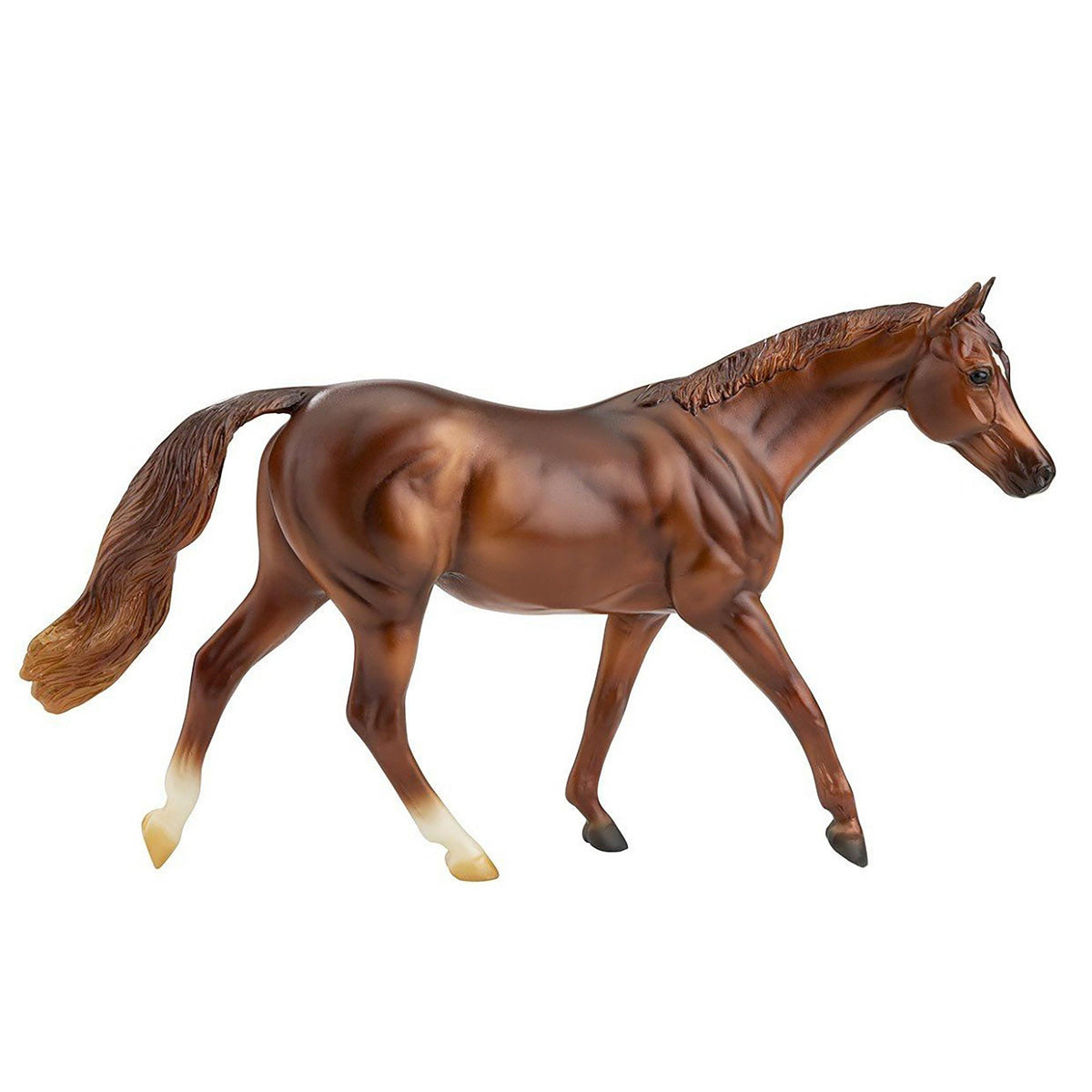 Freedom Coppery Chestnut Thoroughbred