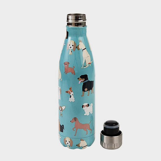 Stainless Steel Best in Show Bottle Dog