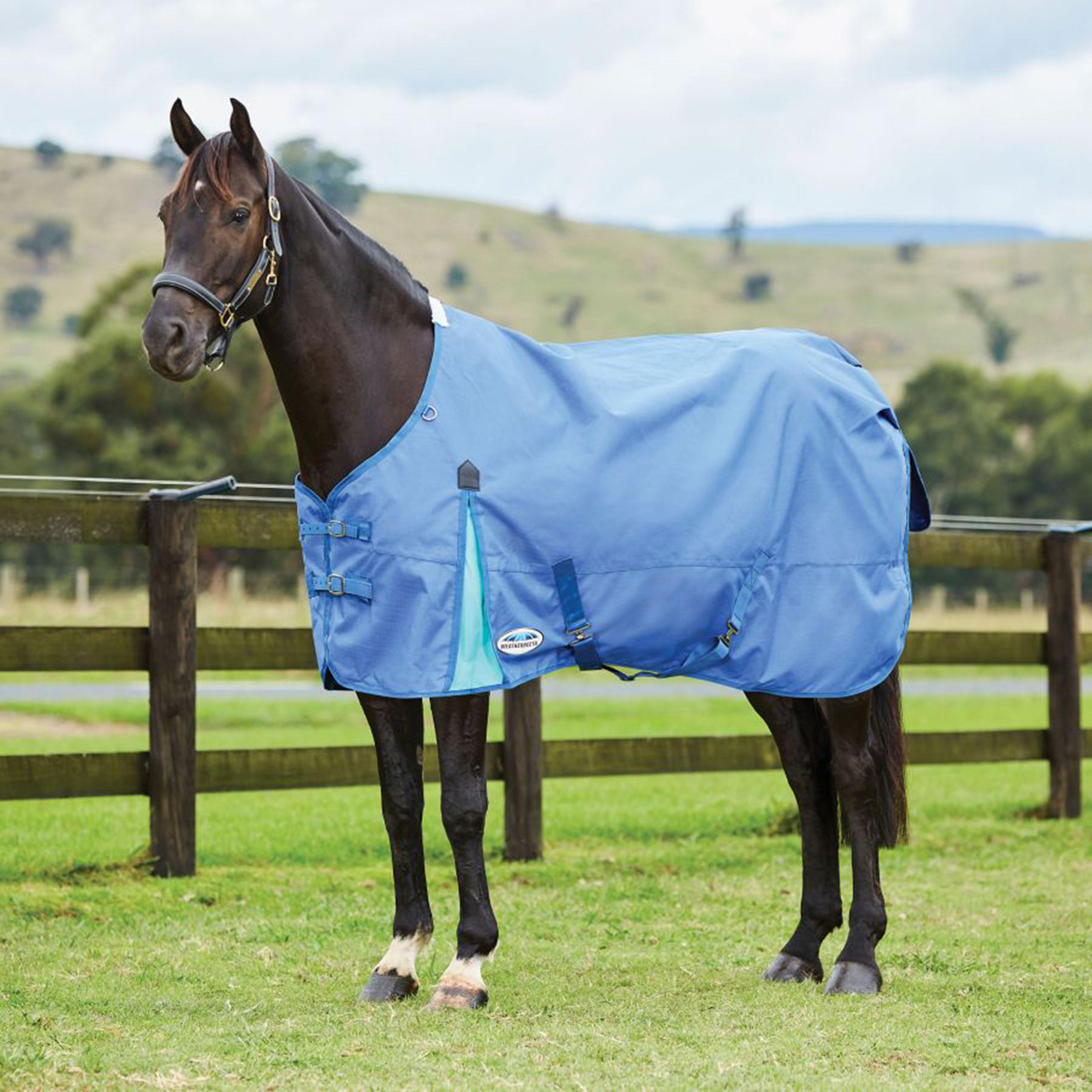 ComFITec Classic Standard Neck 100g Medium/Lite Turnout Rug Delft Blue/Mint