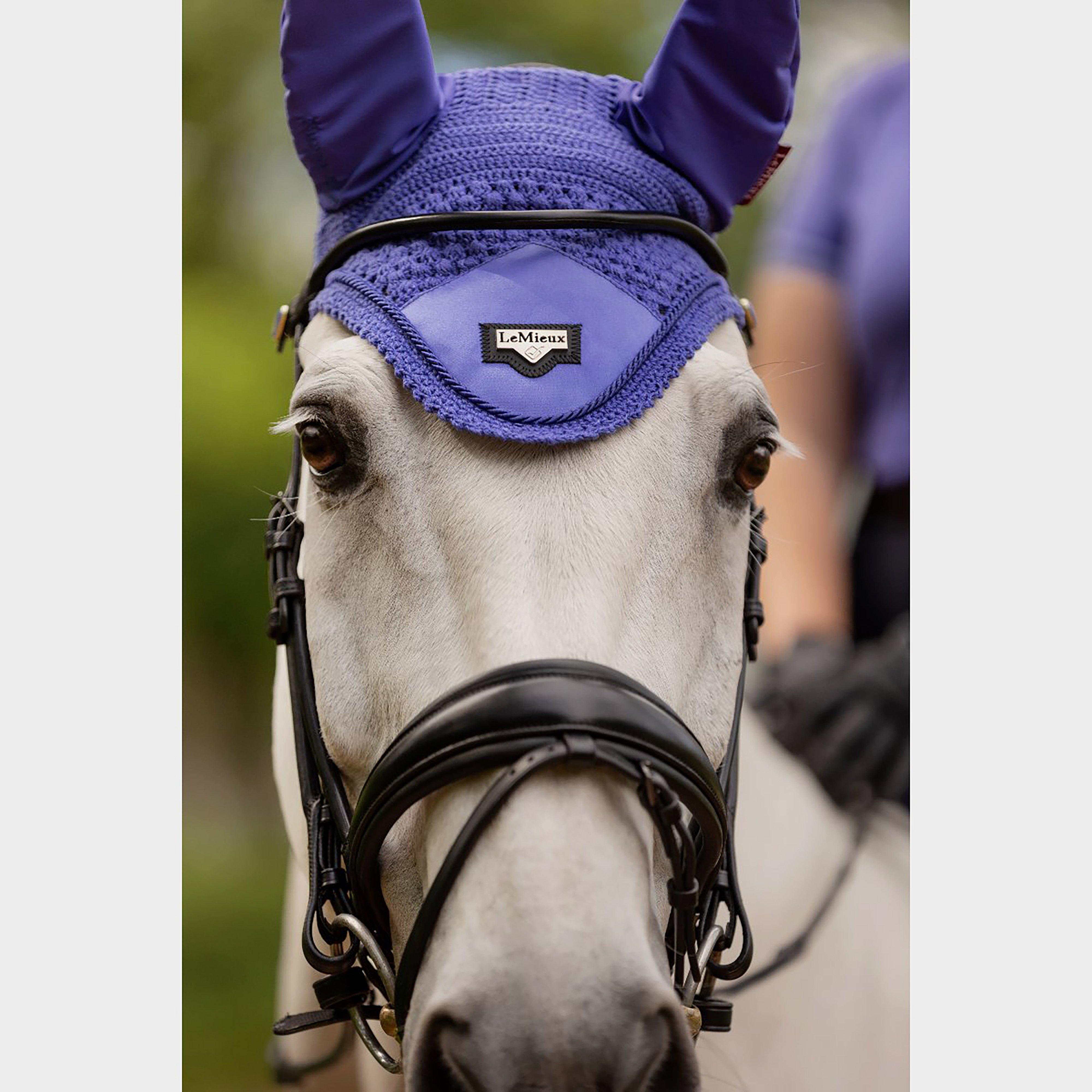 Loire Satin Fly Hood Bluebell