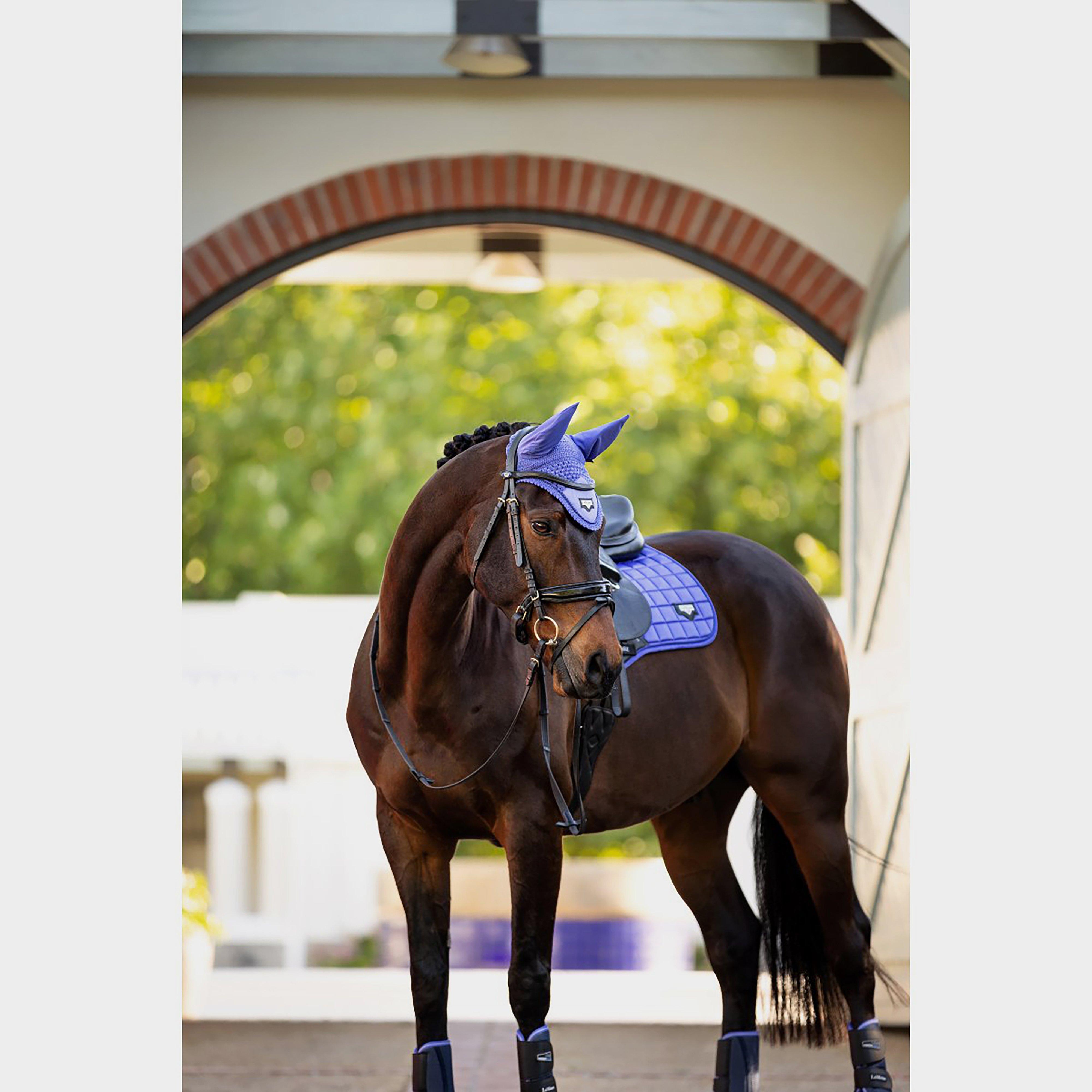 Loire Satin Fly Hood Bluebell