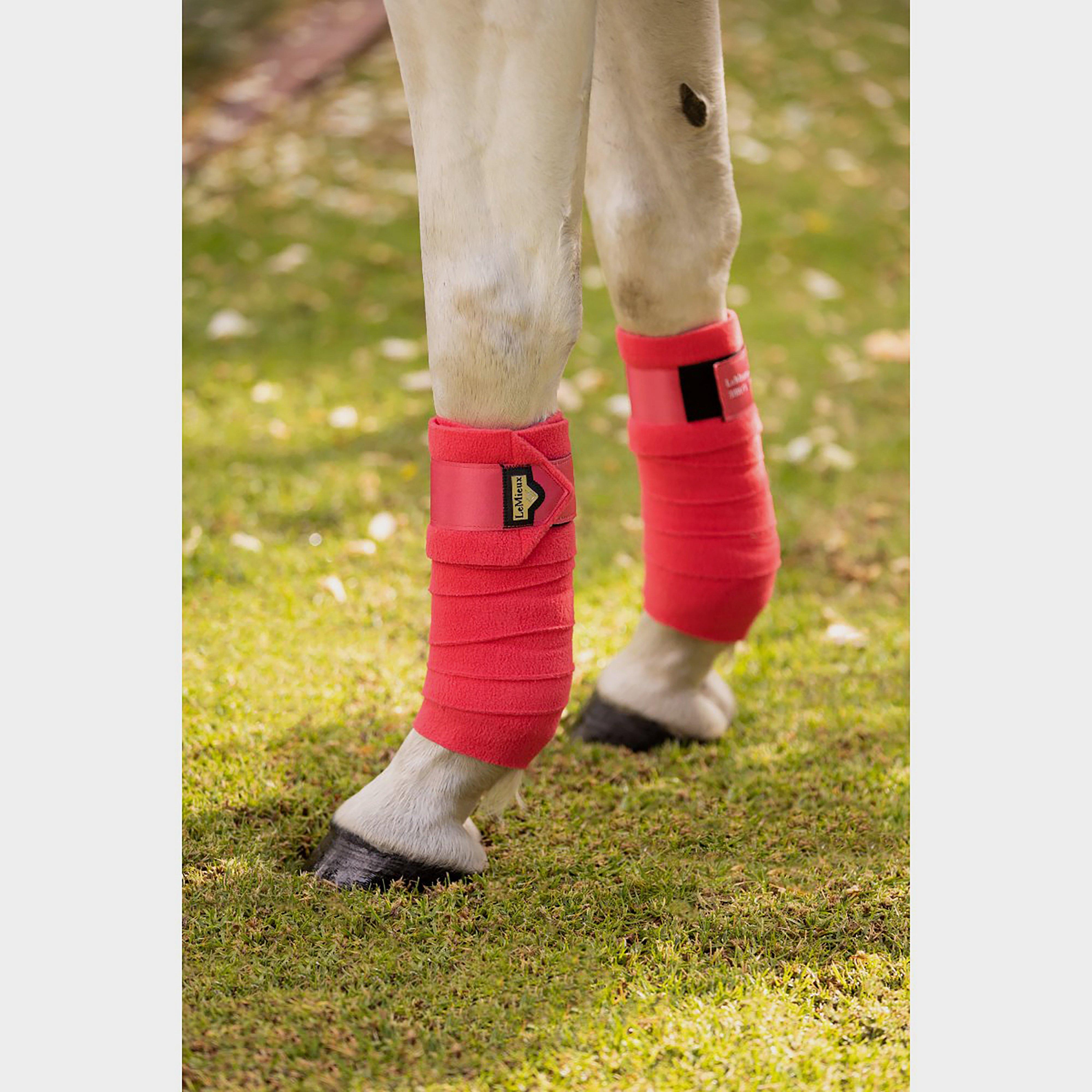 Loire Satin Bandages Papaya