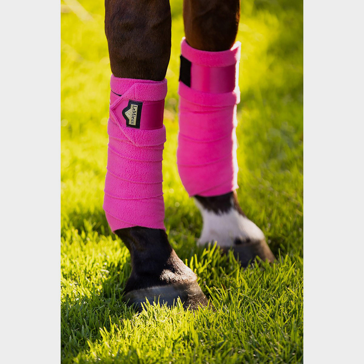 Loire Satin Bandages Watermelon