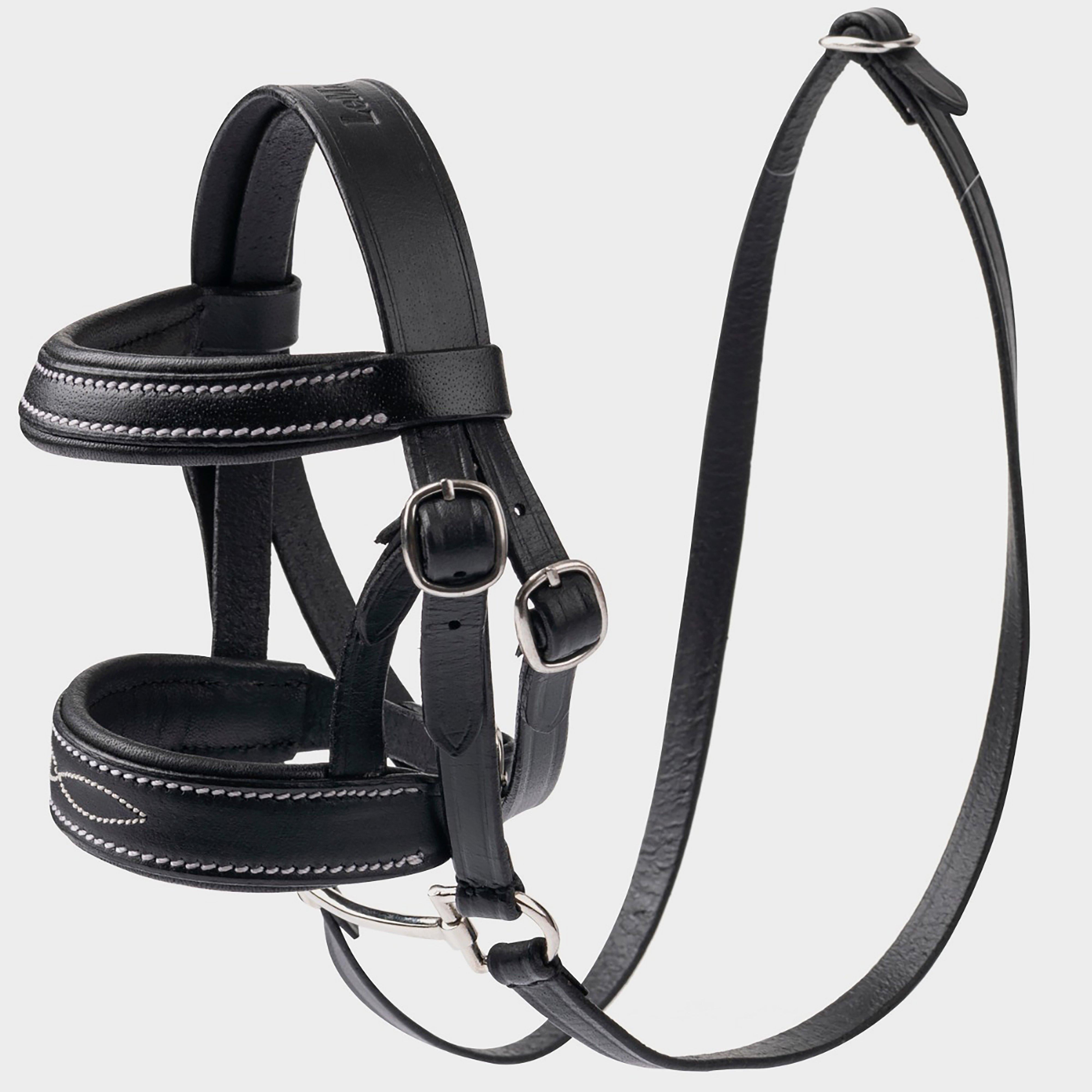 Mini LeMieux Pony Bridle Black