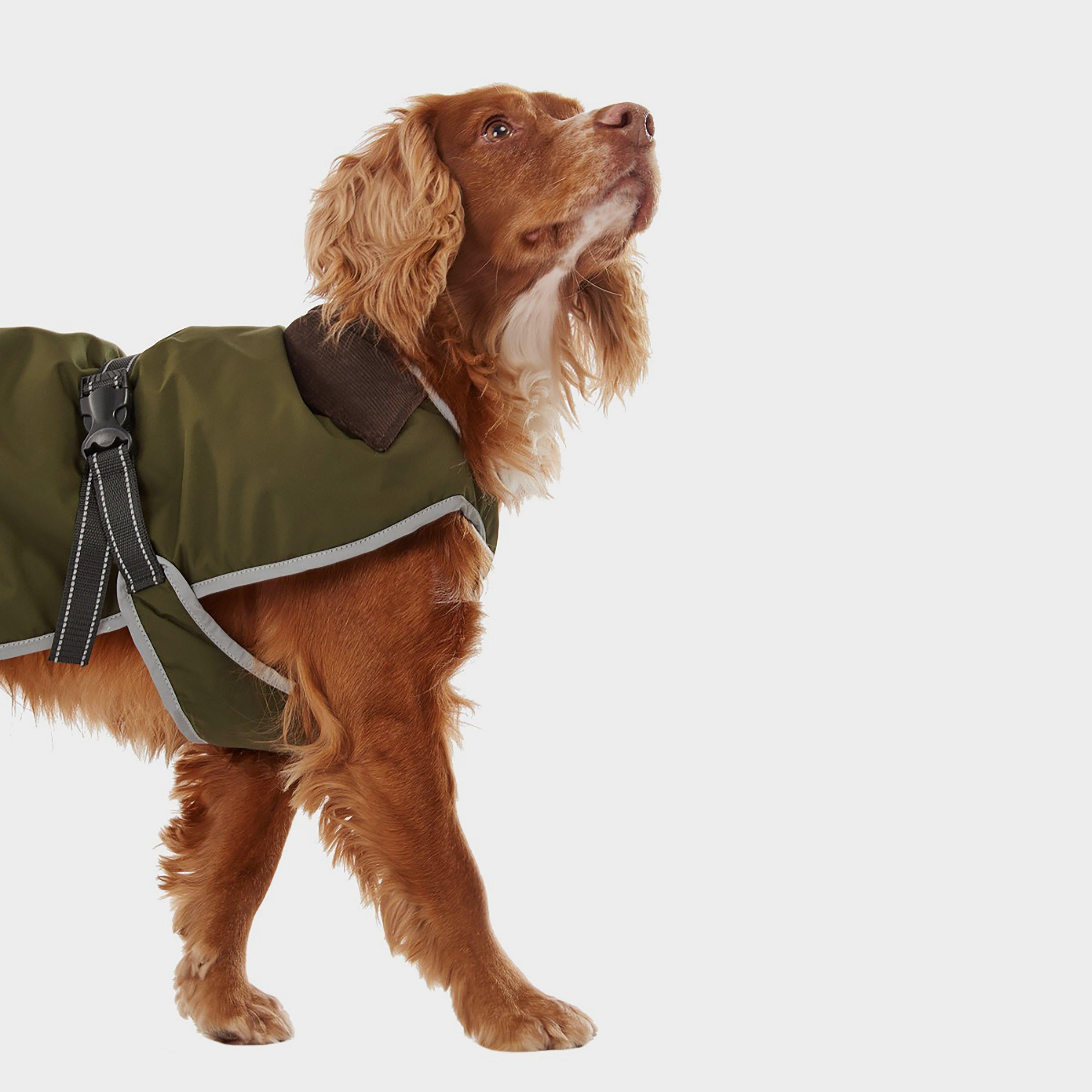 Monmouth Waterproof Dog Coat Olive