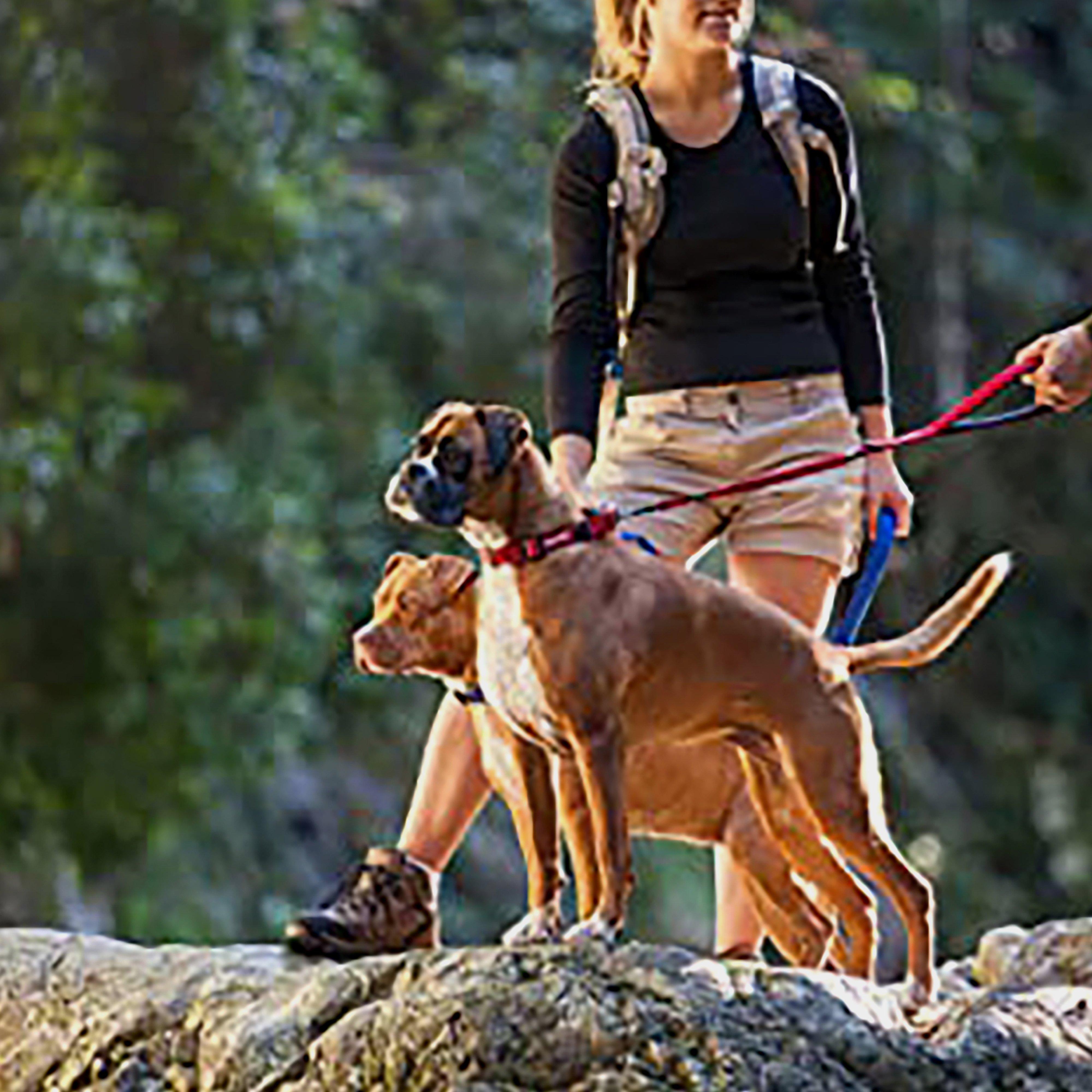 Double Up Collar Red Extra Large