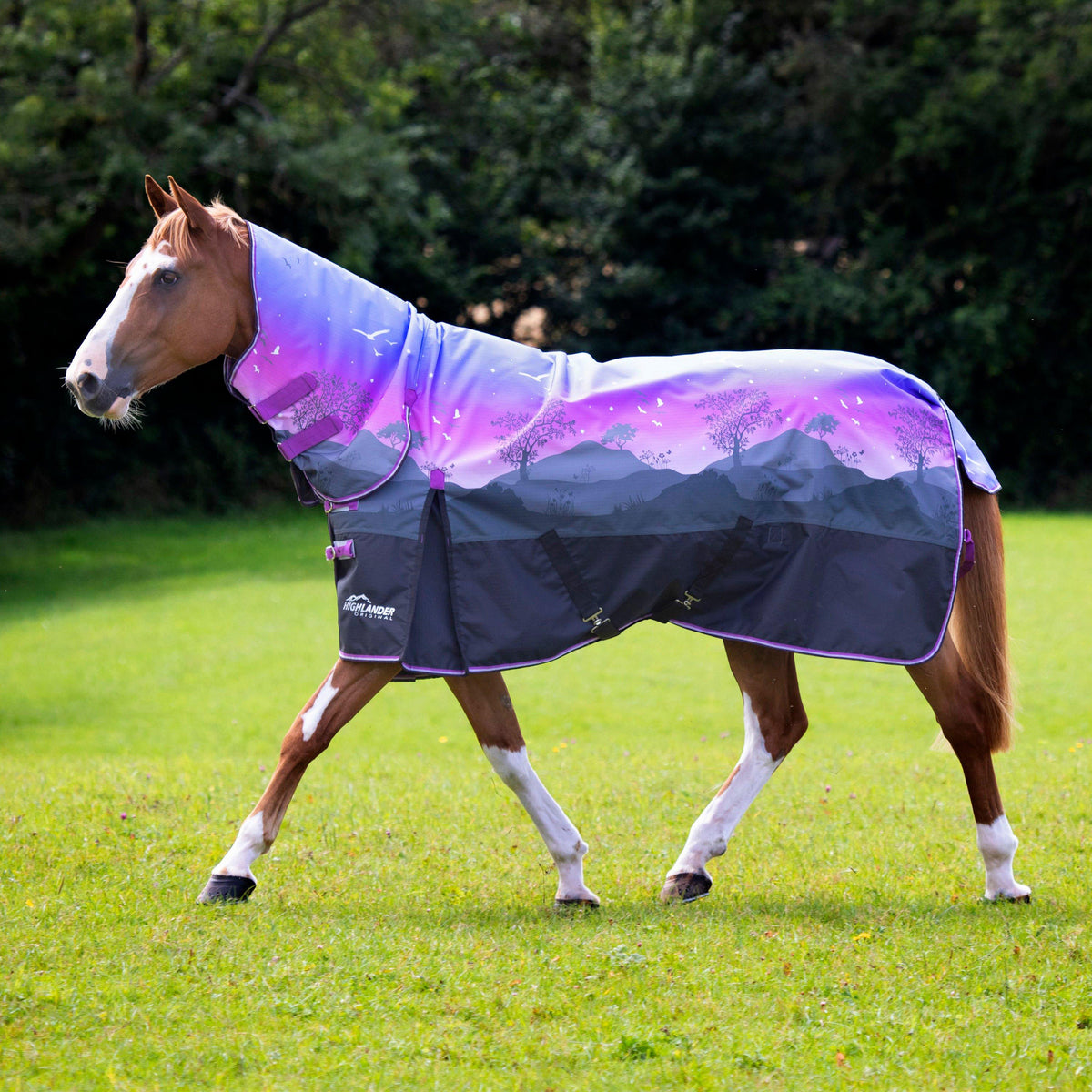 Highlander Original 100g Combo Neck Turnout Rug Spring Morning