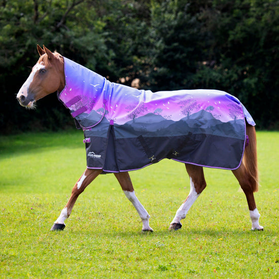 Highlander Original 100g Combo Neck Turnout Rug Spring Morning