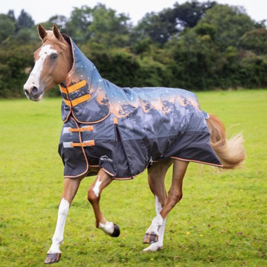 Highlander Original Combo Medium Weight 200g Turnout Rug Winter Sun
