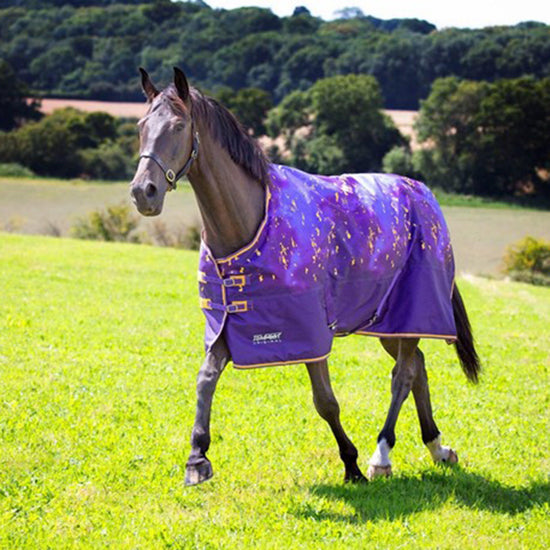 Tempest Original 100g Standard Neck Turnout Rug Amethyst