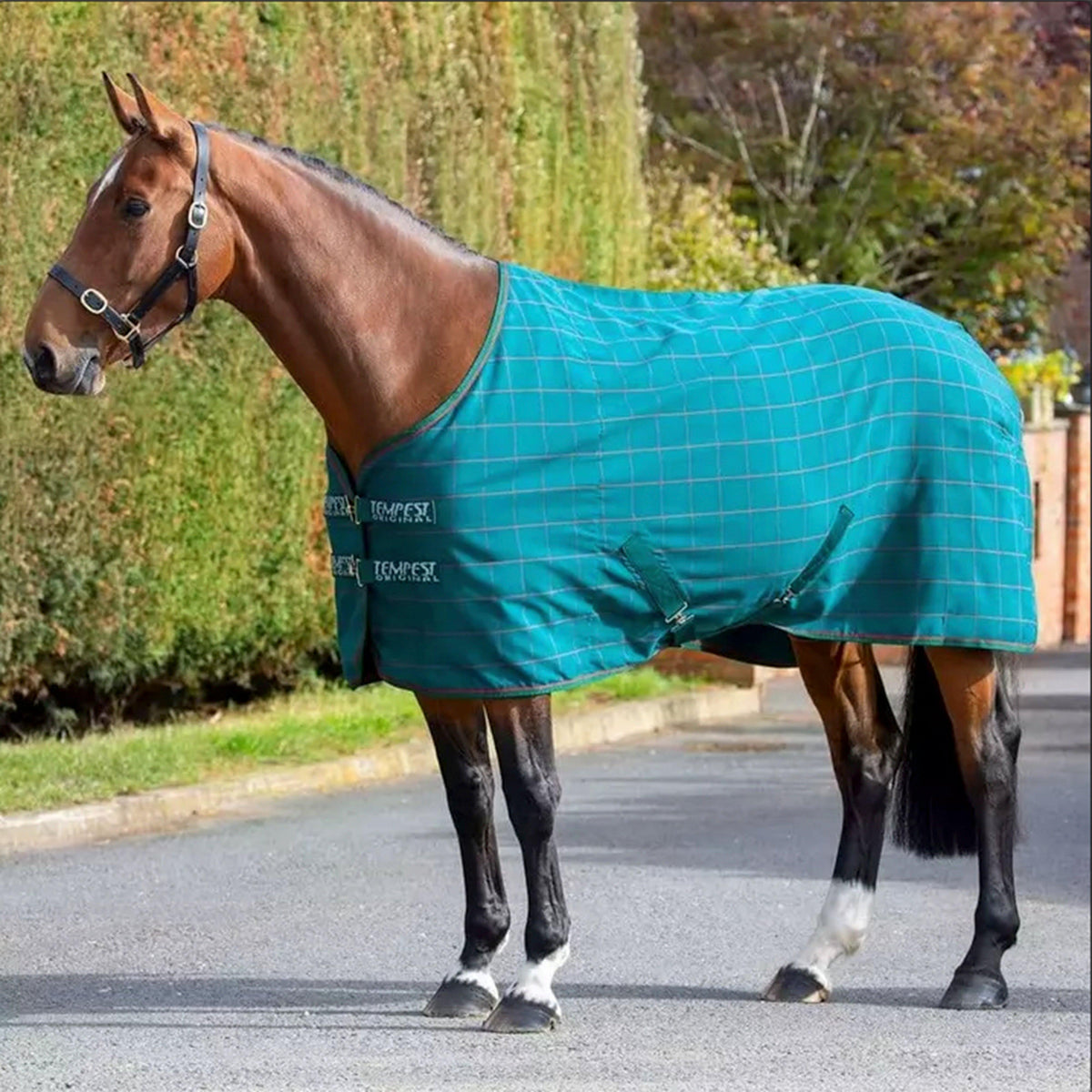 Tempest Original Stable Sheet Green